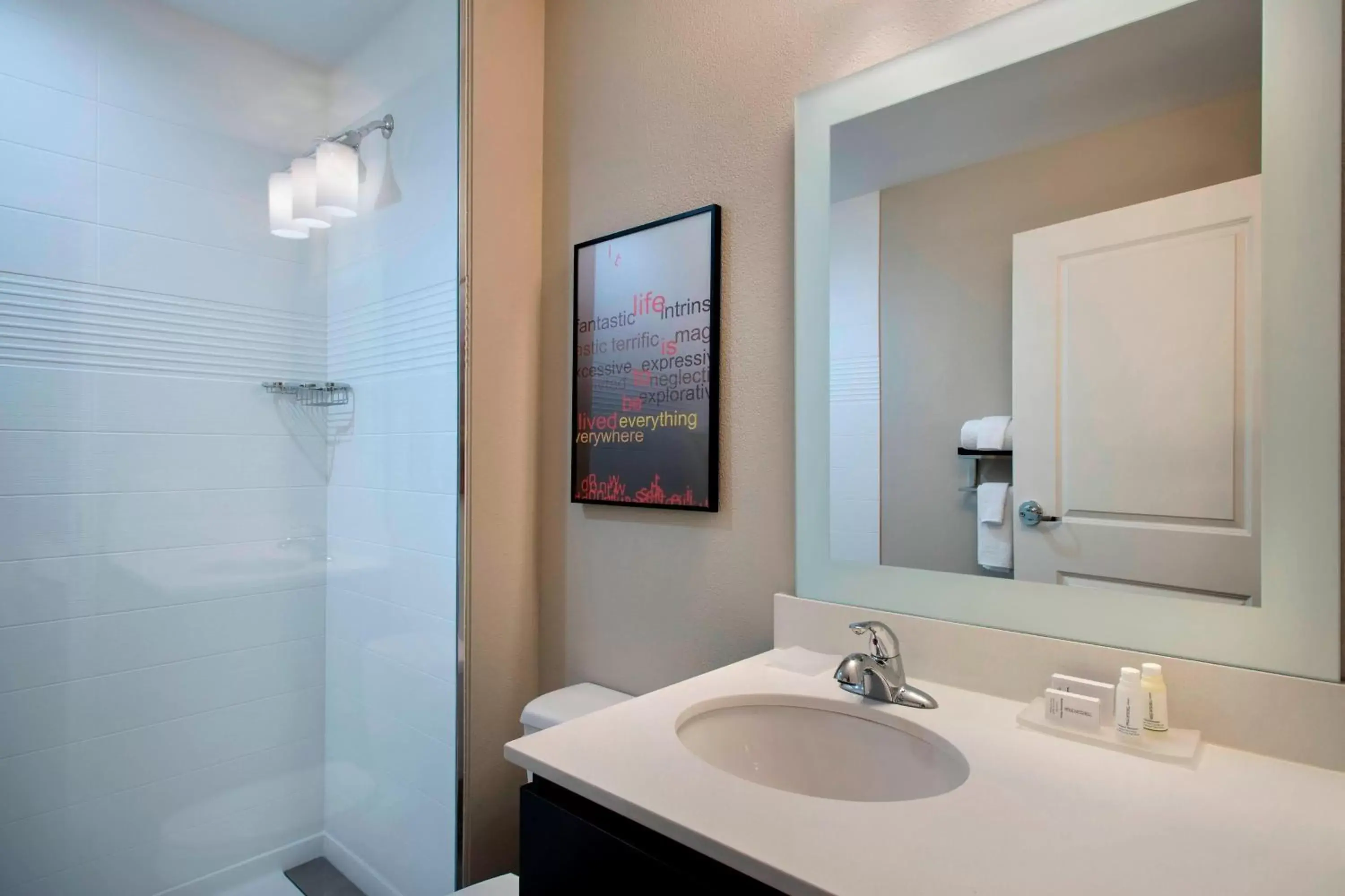 Bathroom in TownePlace Suites by Marriott Nashville Goodlettsville