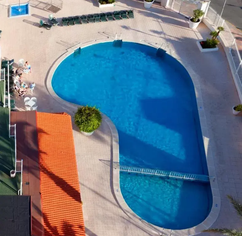 Swimming pool, Pool View in Hotel Cabana