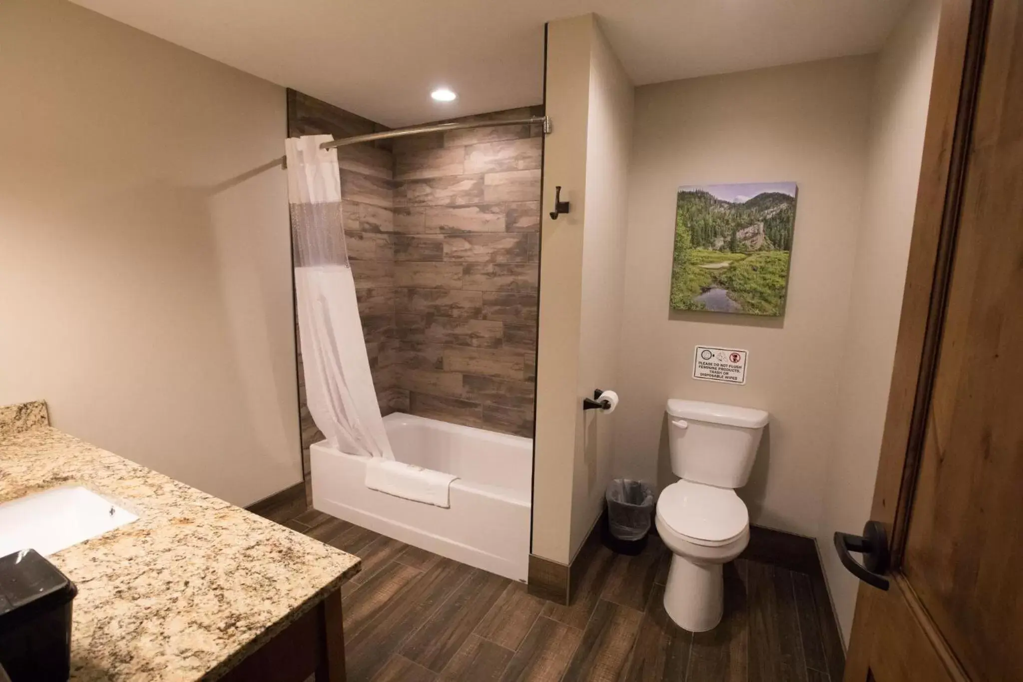 Toilet, Bathroom in Sawtelle Mountain Resort