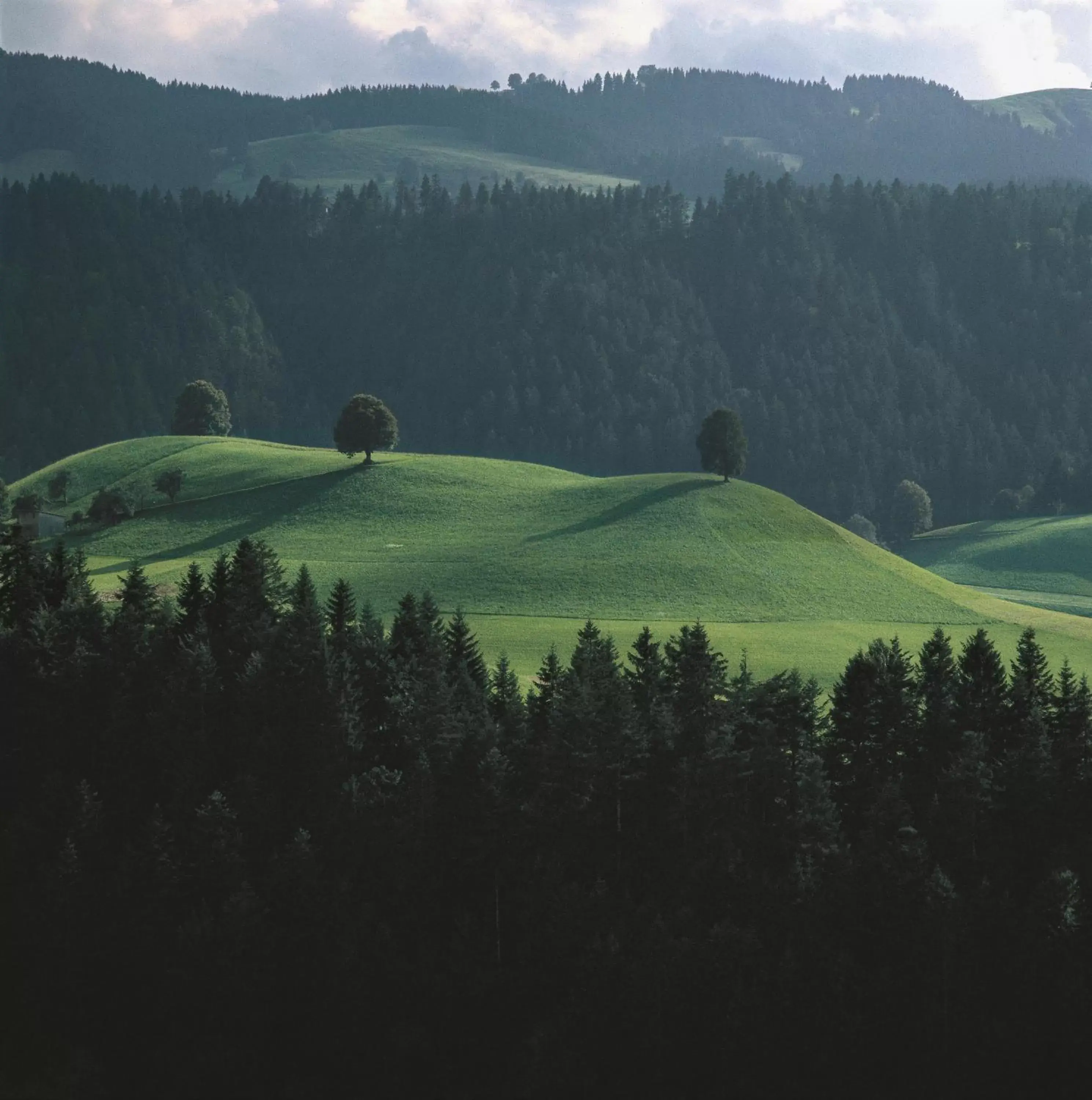 Natural landscape in BnB SchlafSchloss