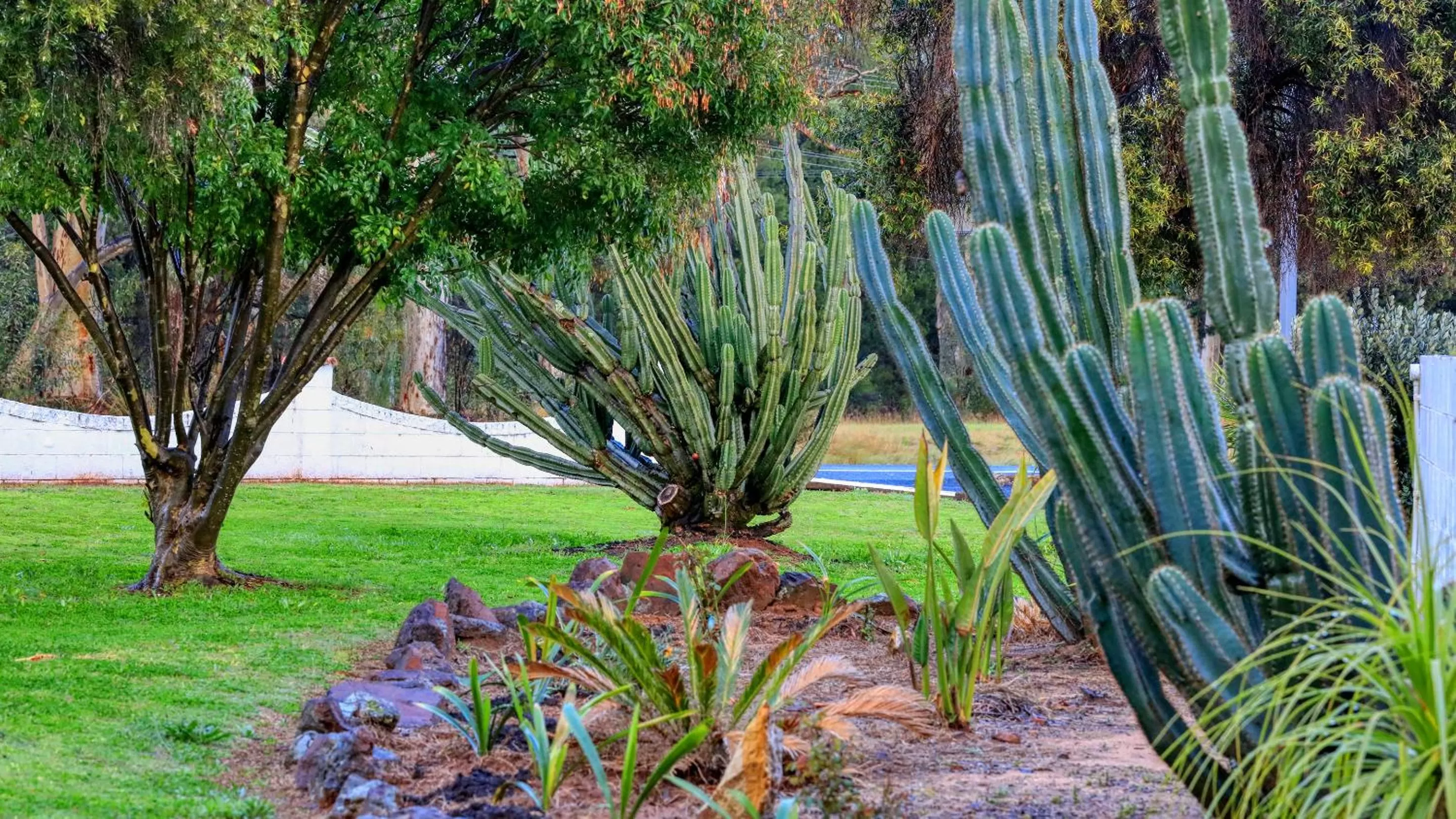 Garden in Azalea Motel