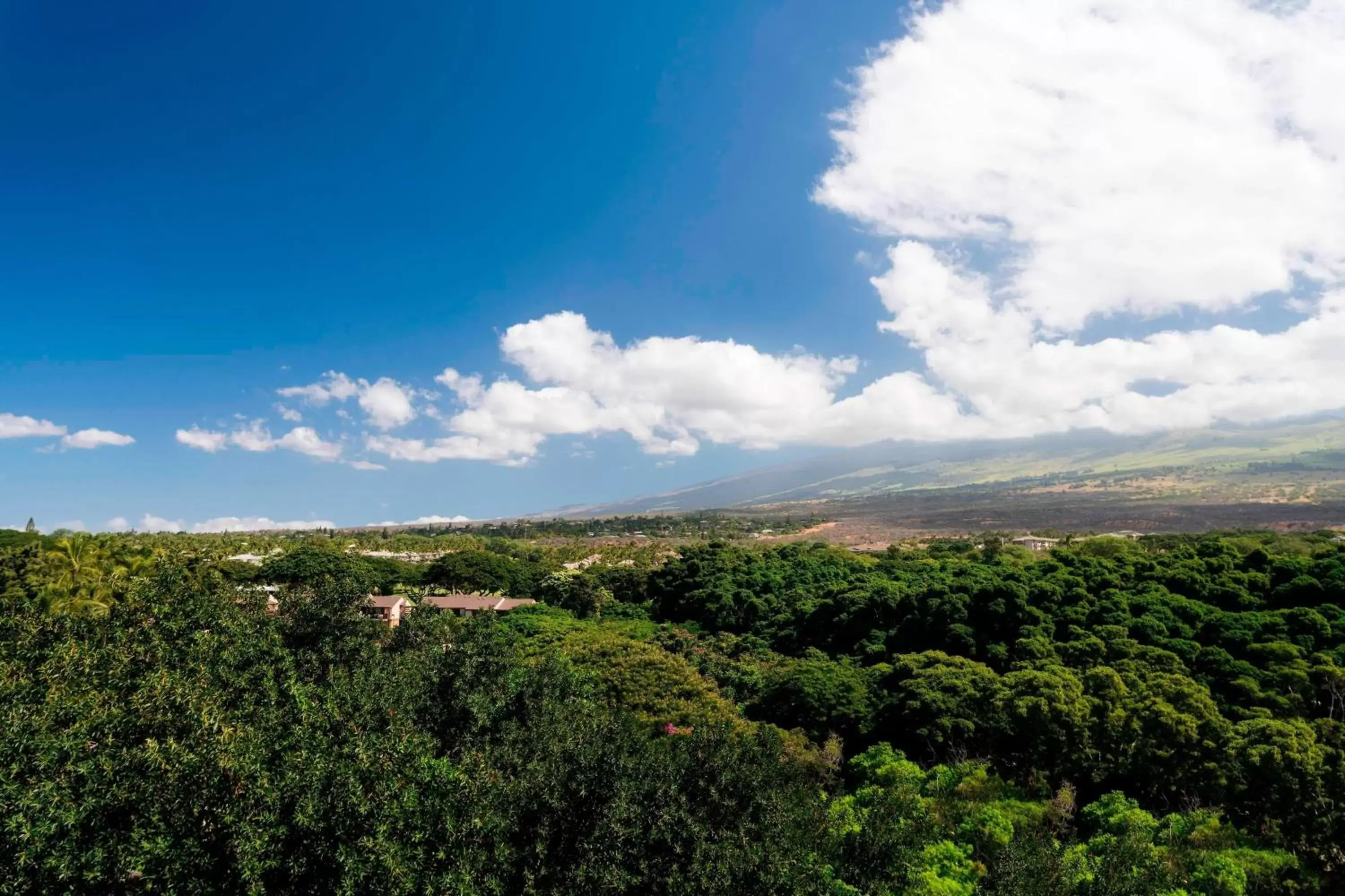 Photo of the whole room, Bird's-eye View in Wailea Beach Resort - Marriott, Maui