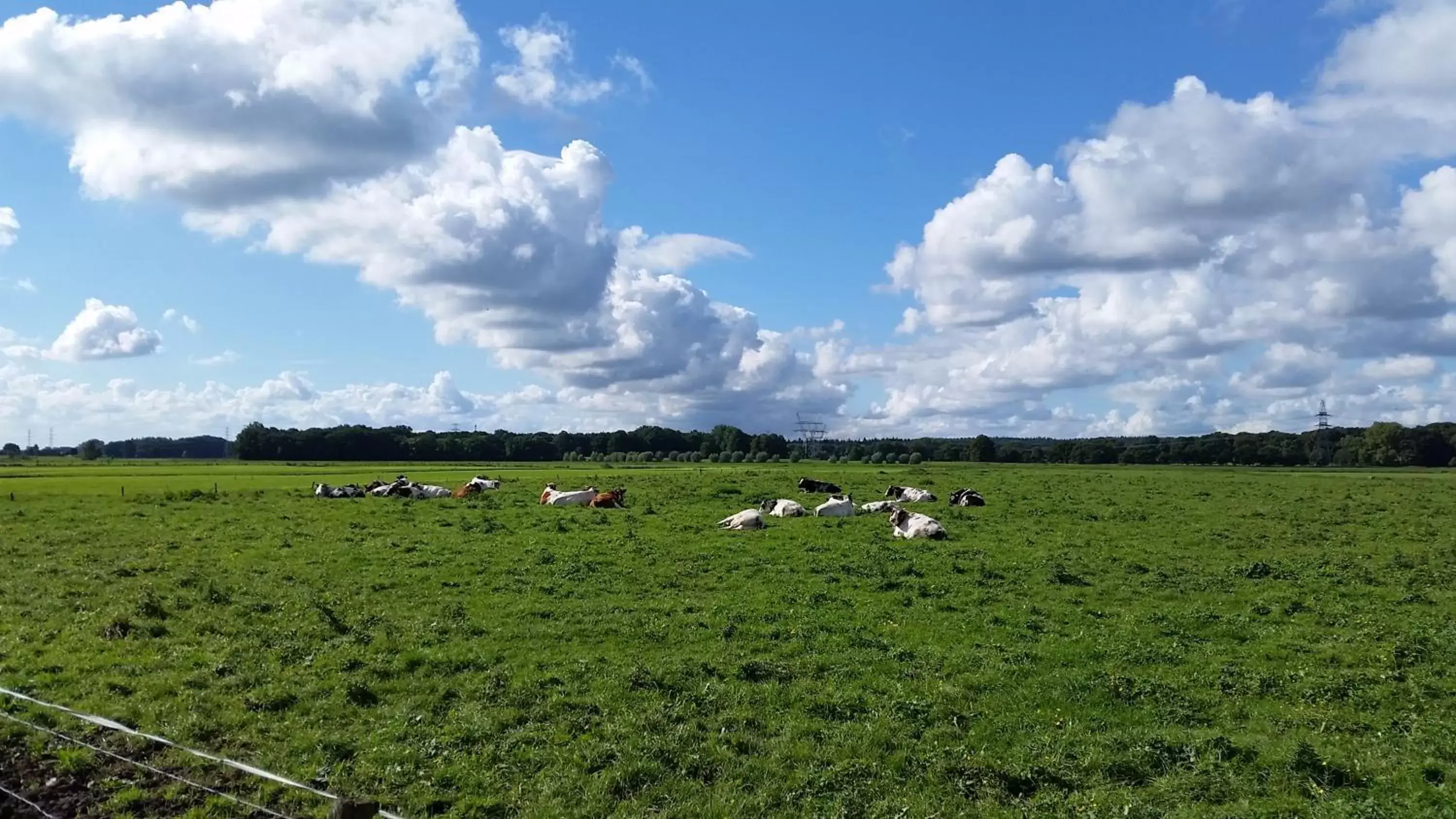 Natural Landscape in B&B de Rivierduin