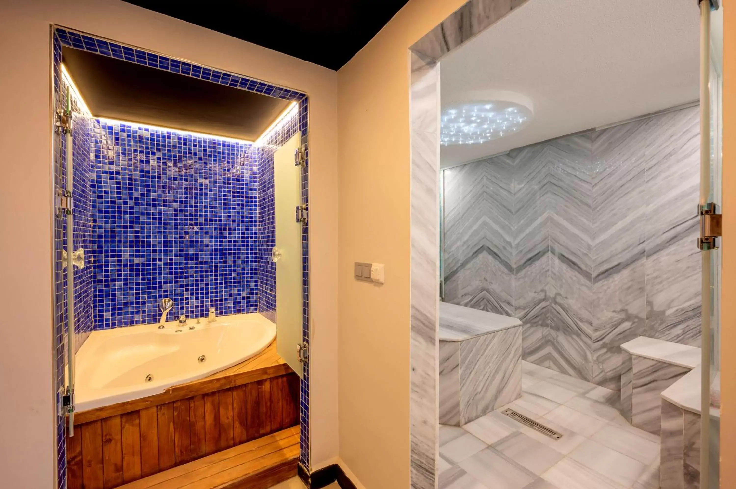 Public Bath, Bathroom in Harmony Hotel Istanbul & SPA