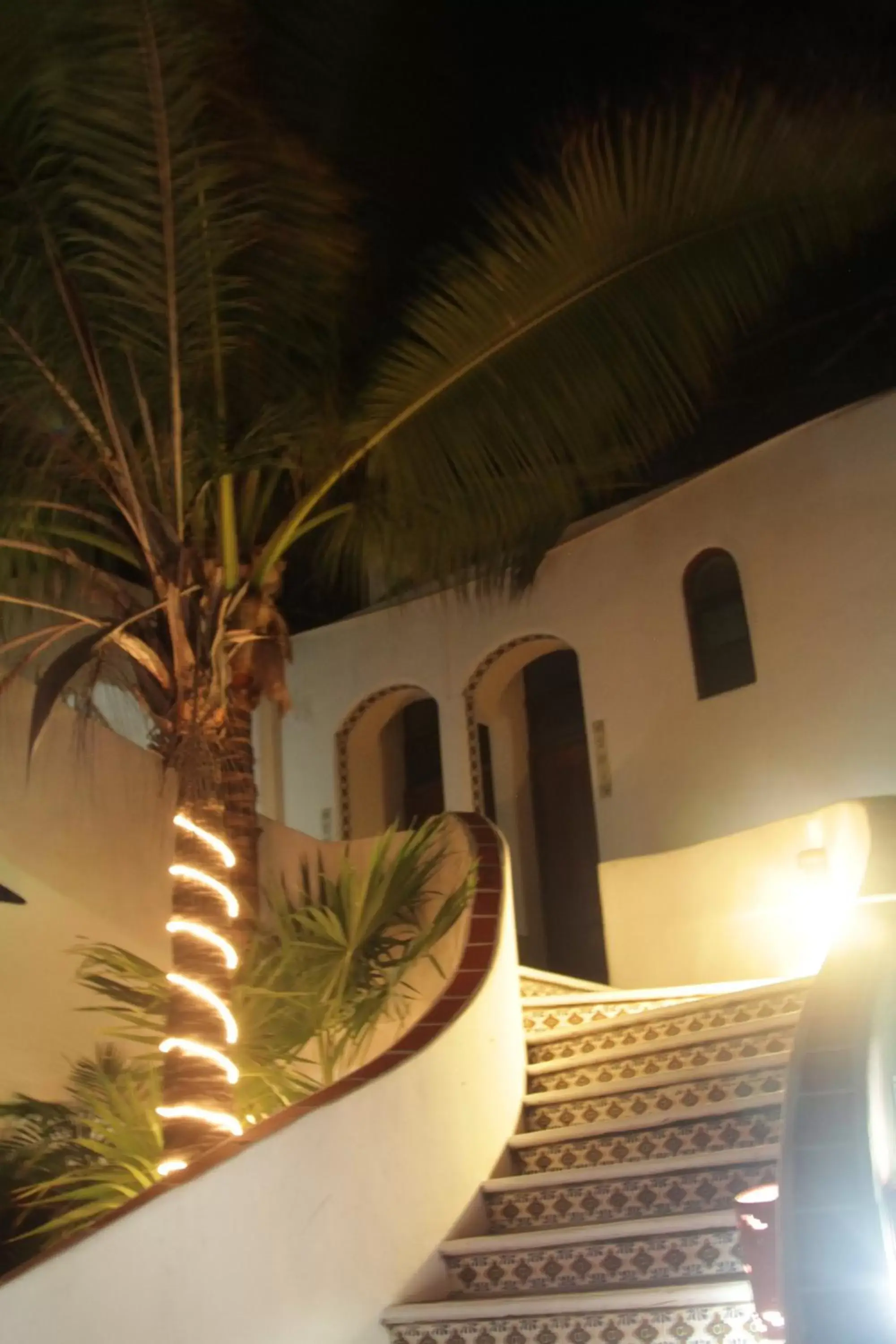 Property building, Patio/Outdoor Area in Pelicano Inn Playa del Carmen - Beachfront Hotel