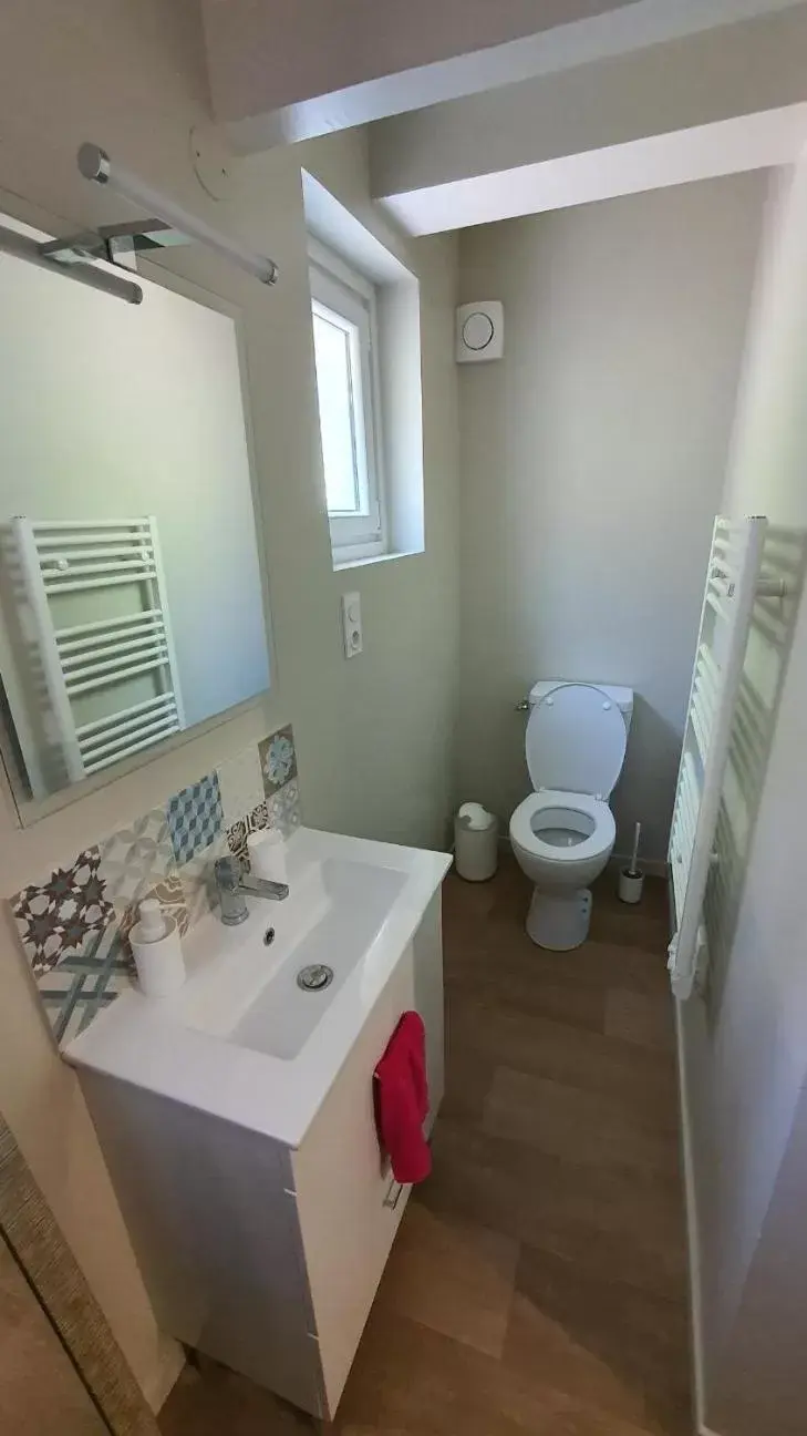 Toilet, Bathroom in Chambre Balnéo à Chaumont (Maison Bonhage)