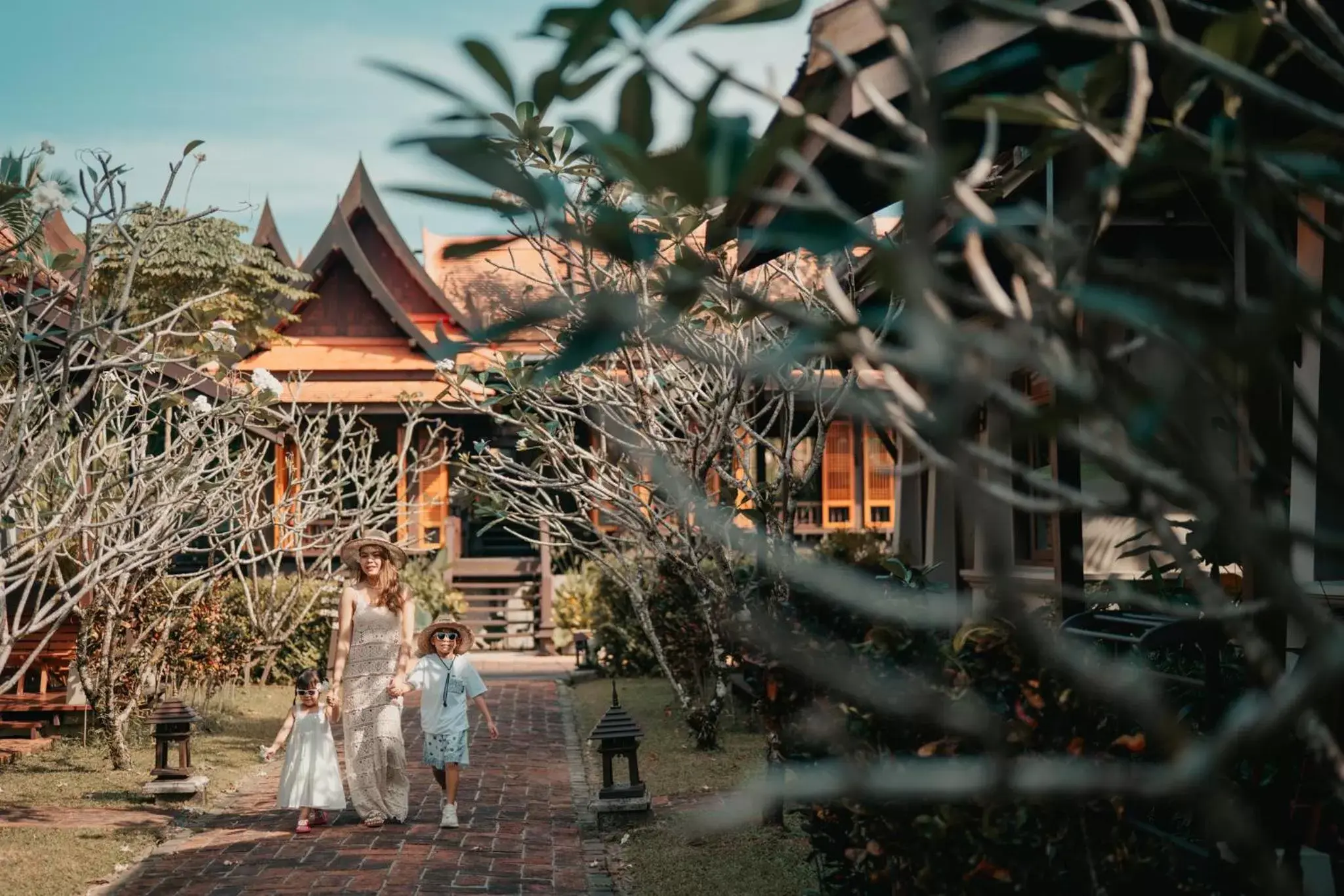 Garden view in Khaolak Bhandari Resort & Spa Garden view in Khaolak Bhandari Resort & Spa