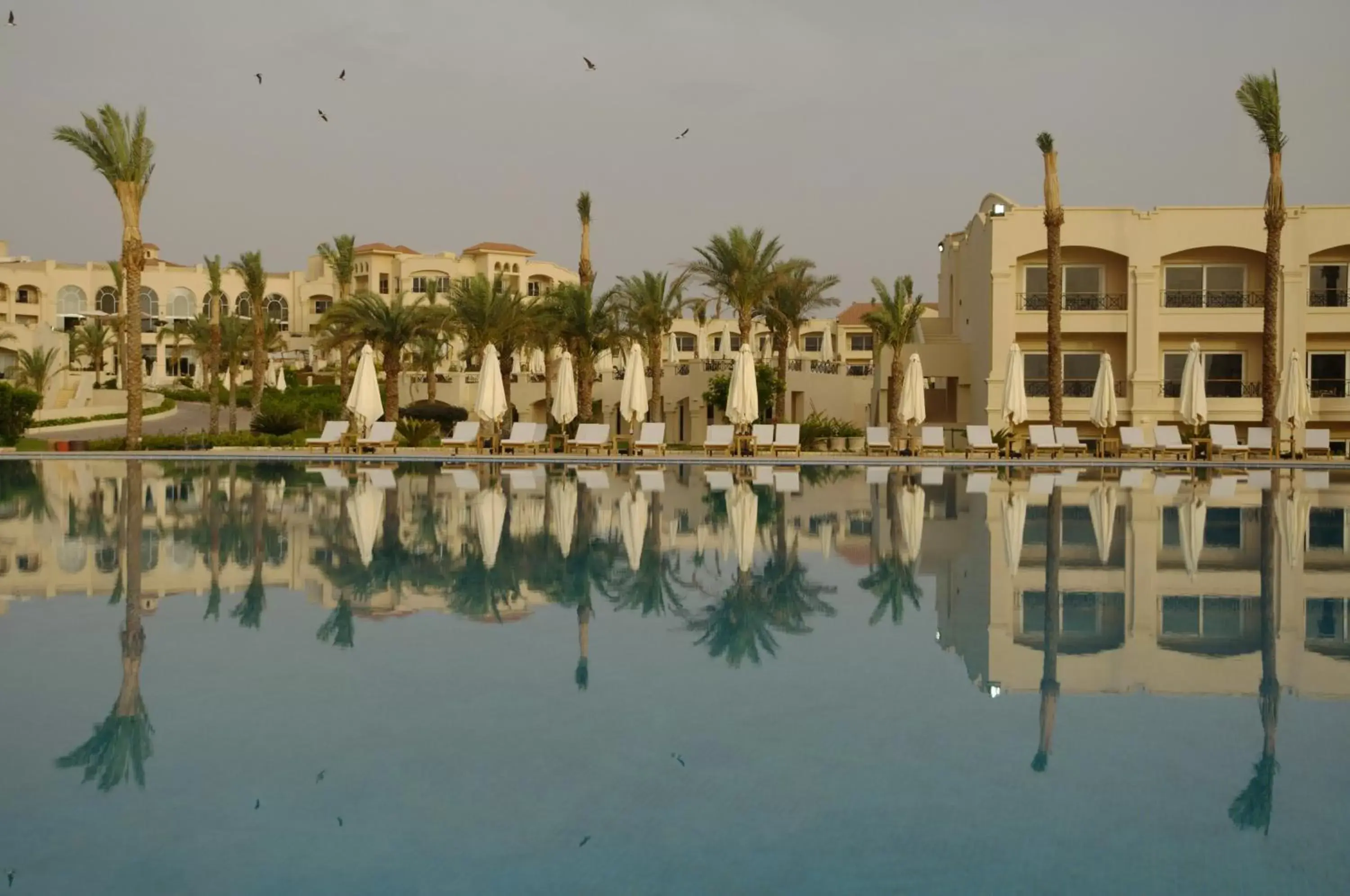 Day, Swimming Pool in Cleopatra Luxury Resort Sharm El Sheikh