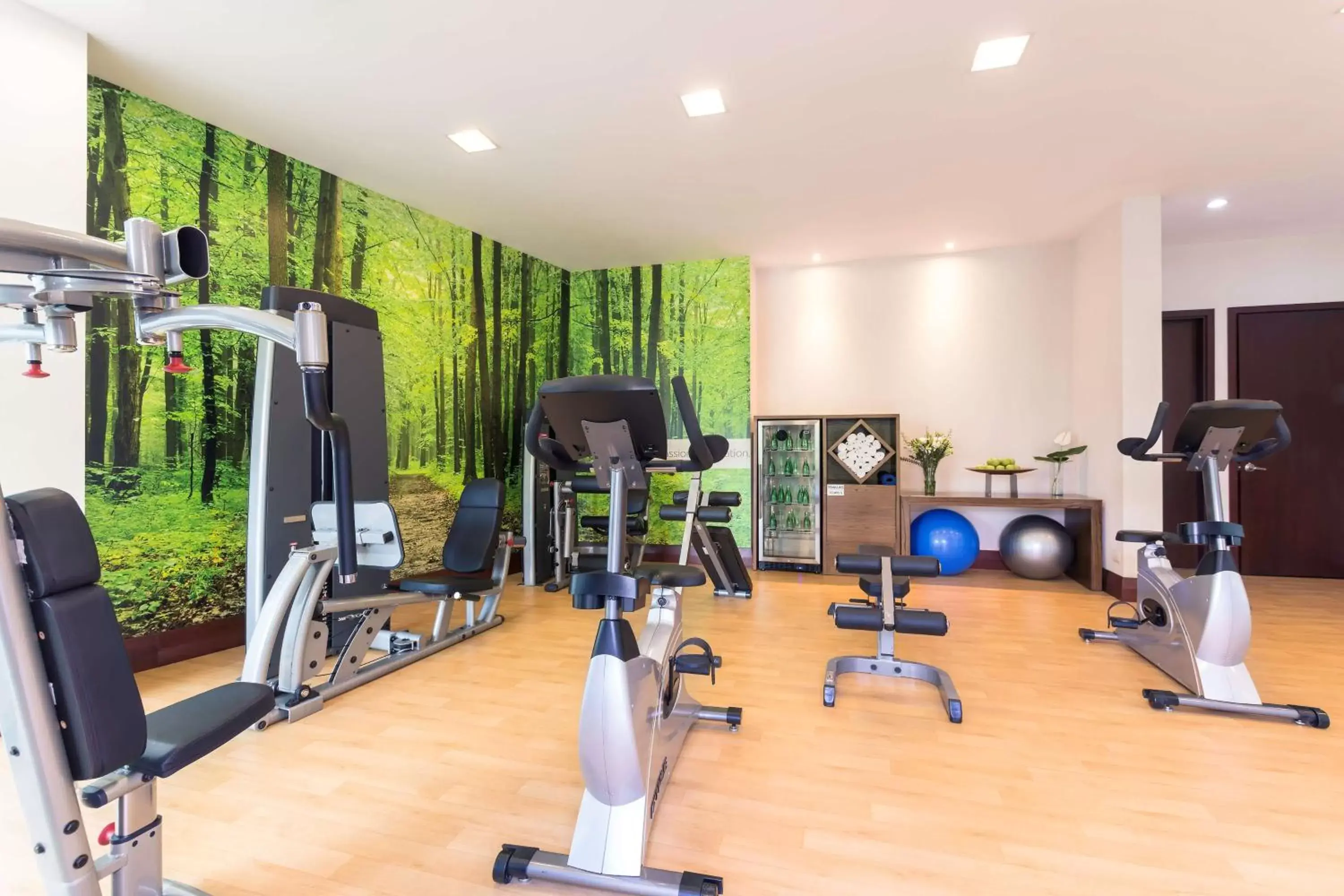Activities, Fitness Center/Facilities in NH Collection Guadalajara Providencia