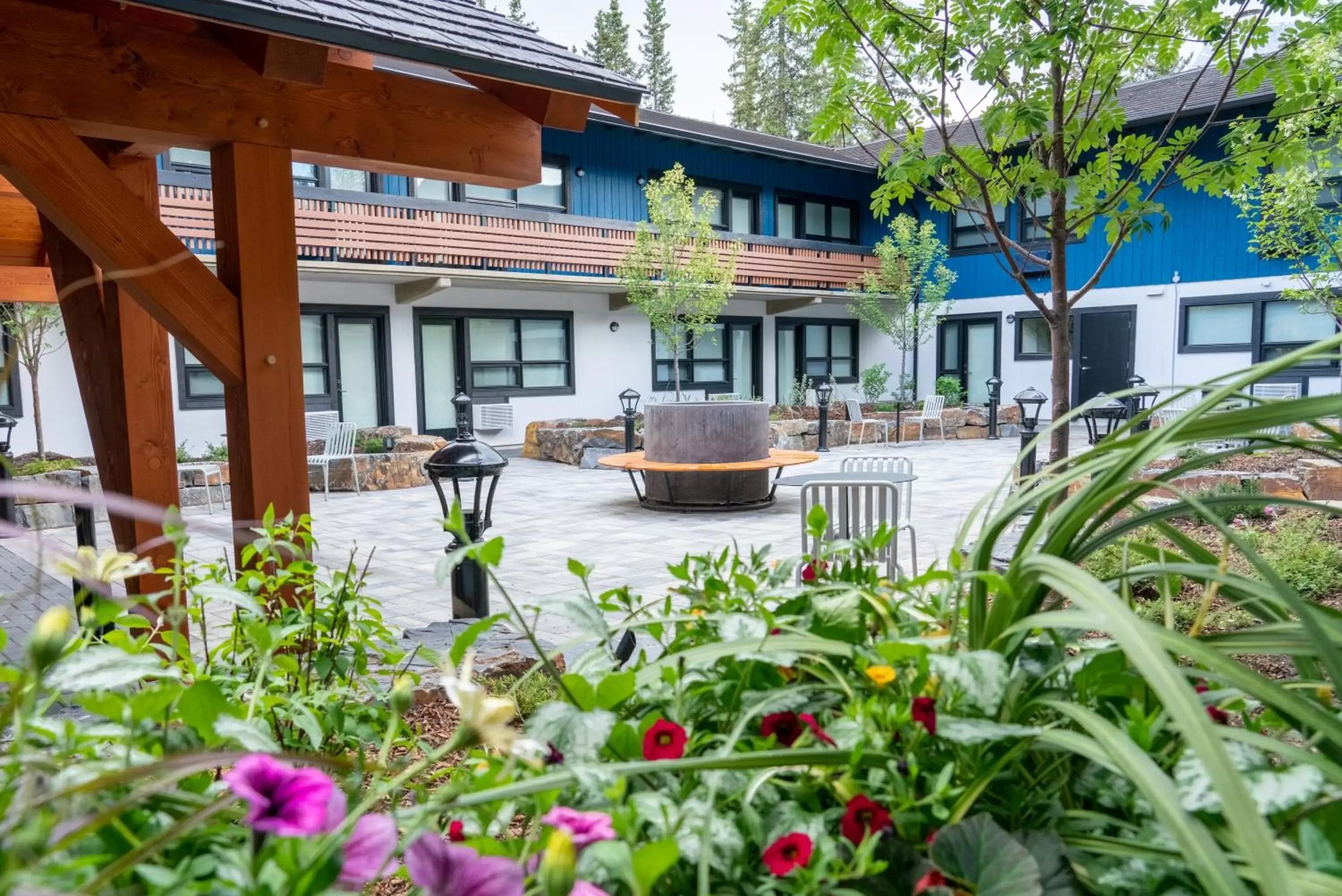 Garden, Property Building in The Dorothy Motel