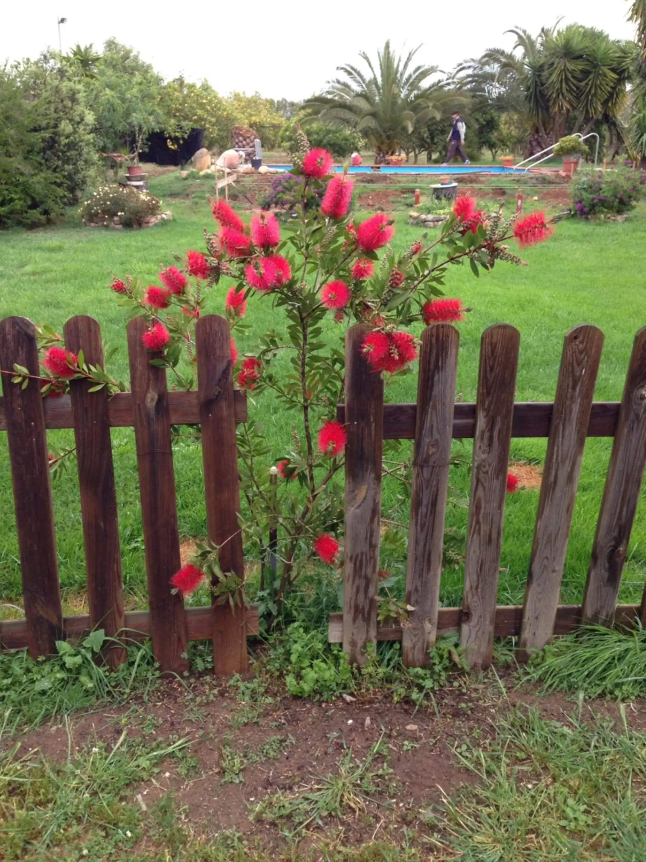 Garden in b&b le terre cotte