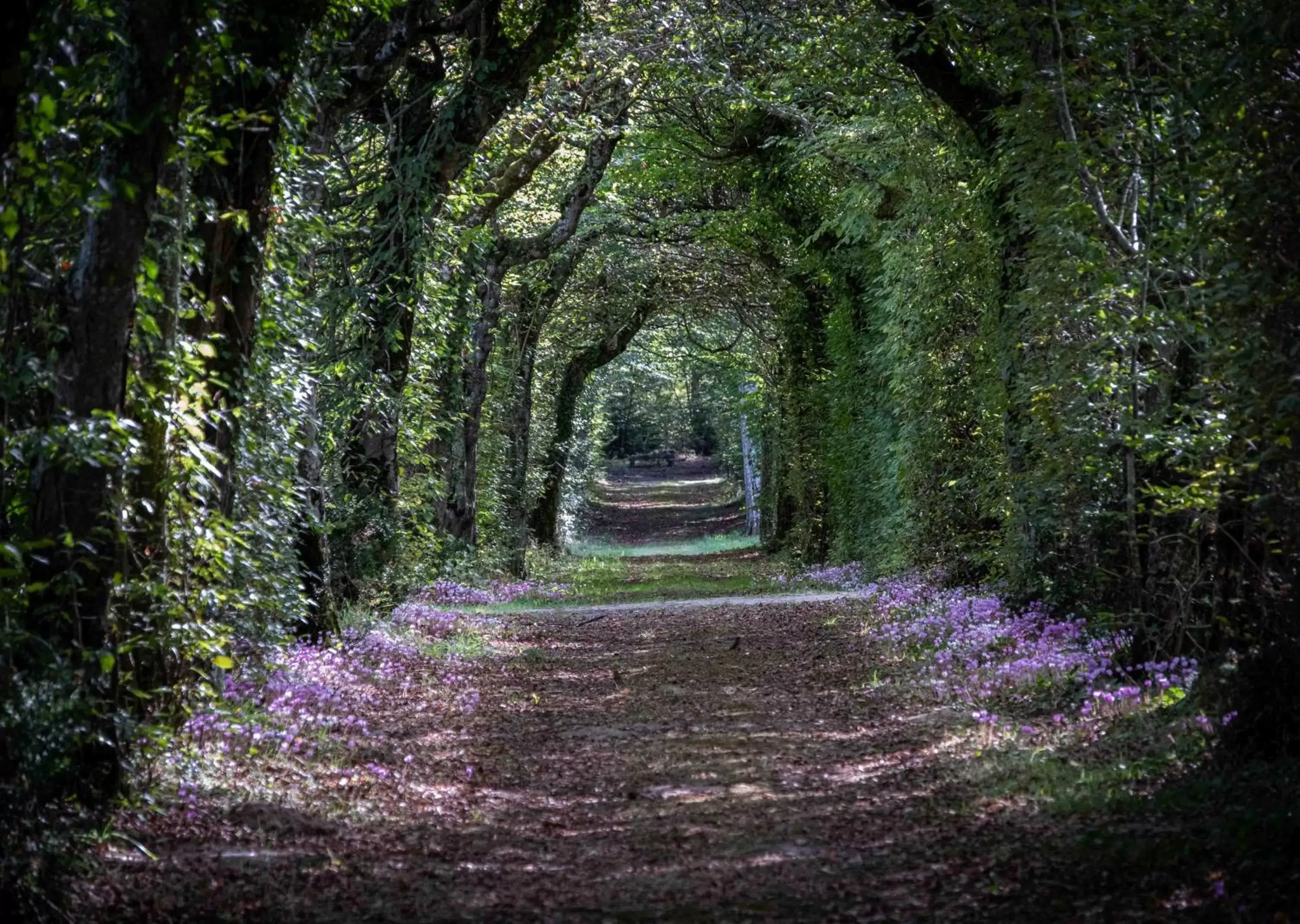 La Borde en Sologne Château & Spa