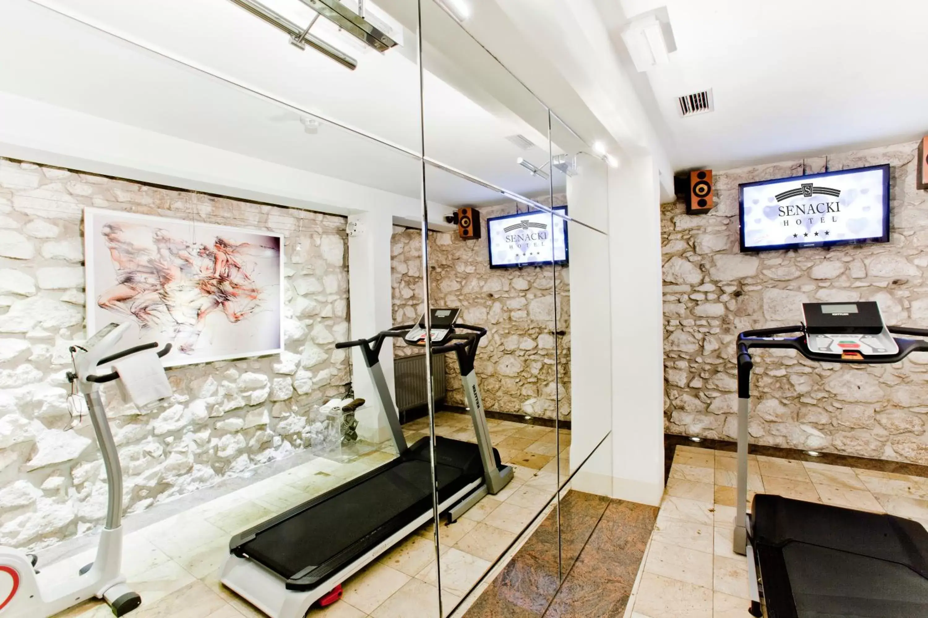 Fitness centre/facilities, Fitness Center/Facilities in Hotel Senacki