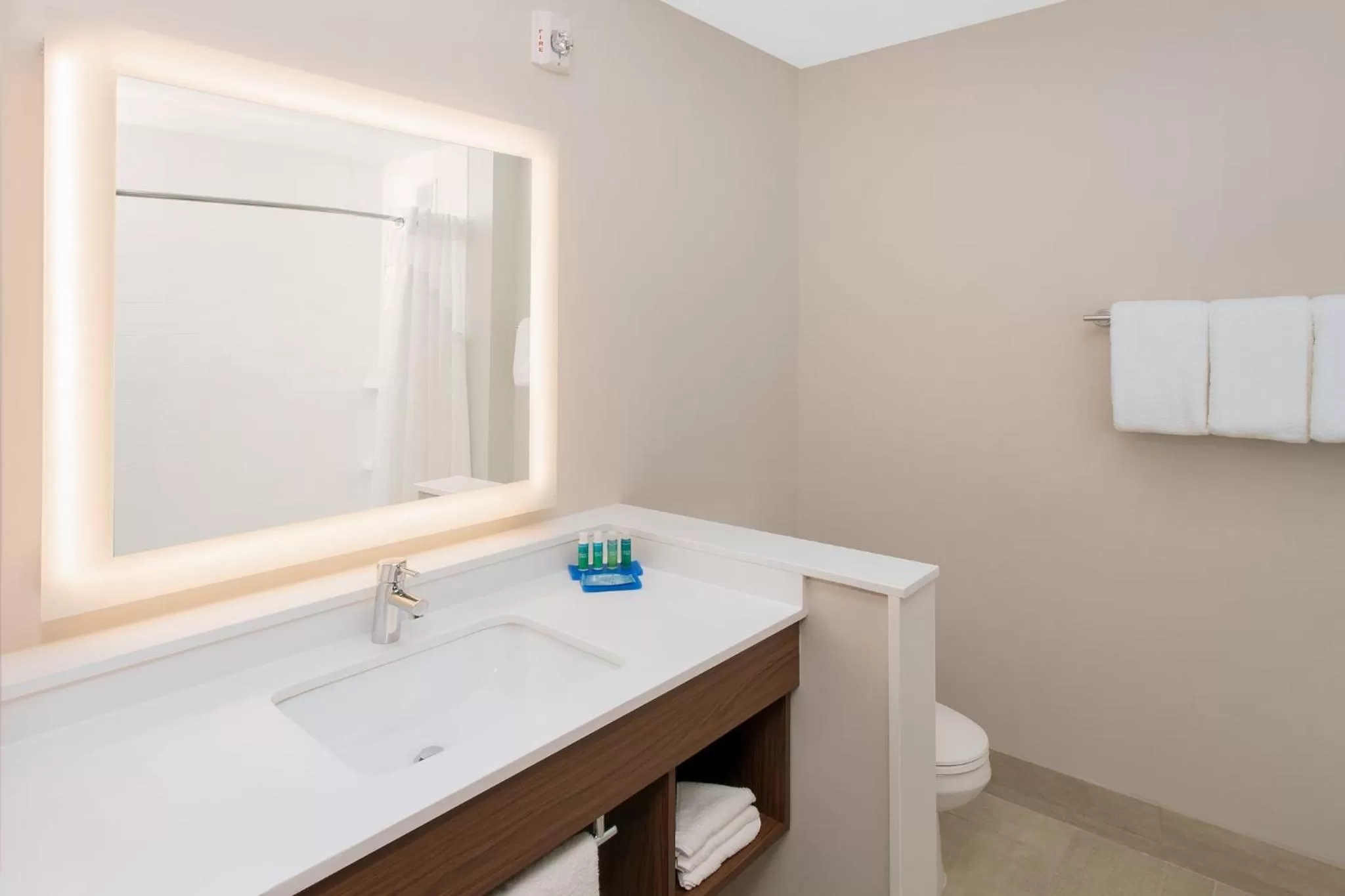 Bathroom in Holiday Inn Express & Suites - Sterling Heights-Detroit Area by IHG