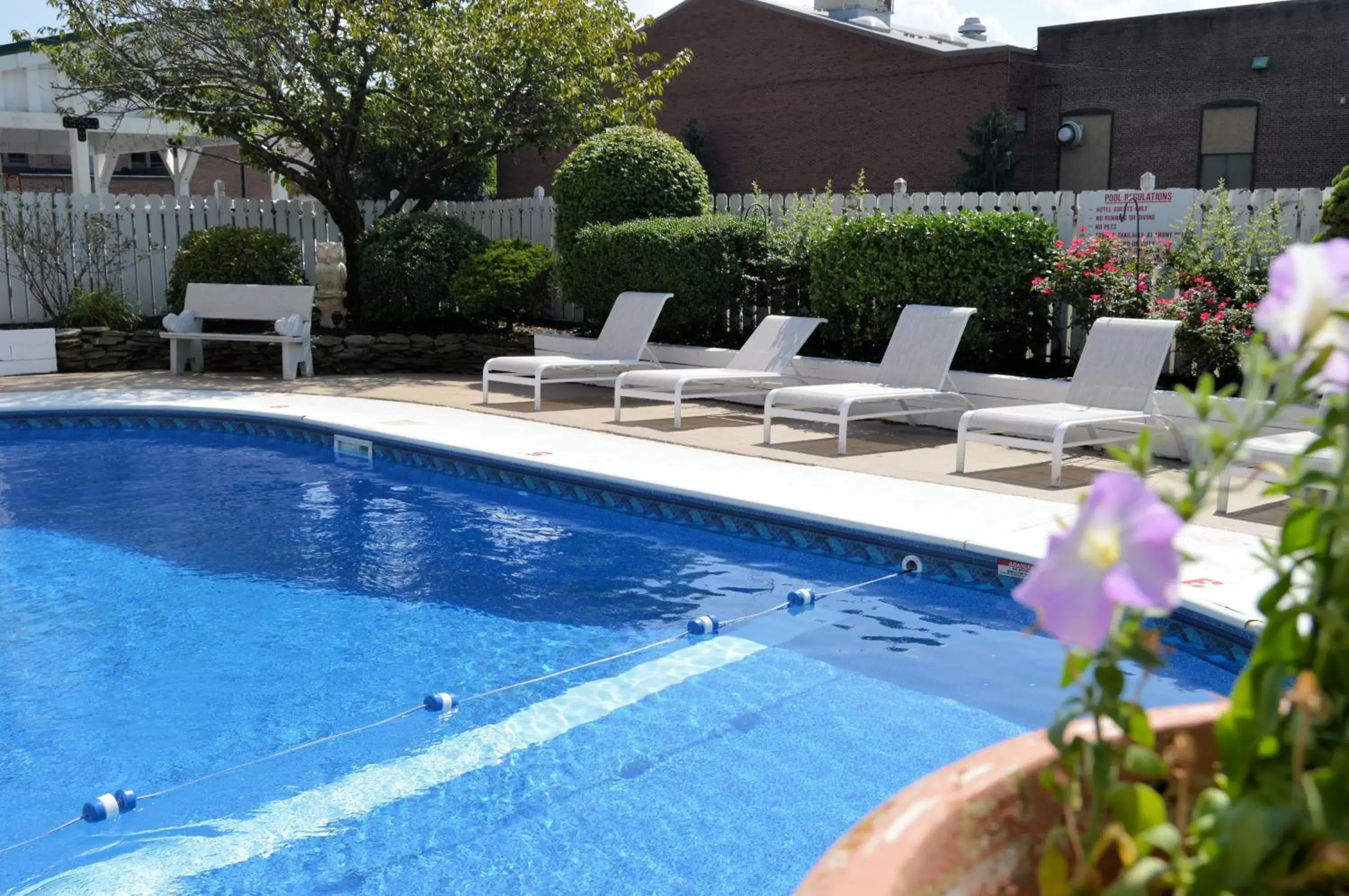 Swimming Pool in Best Western Plus Wilkes Barre Center City