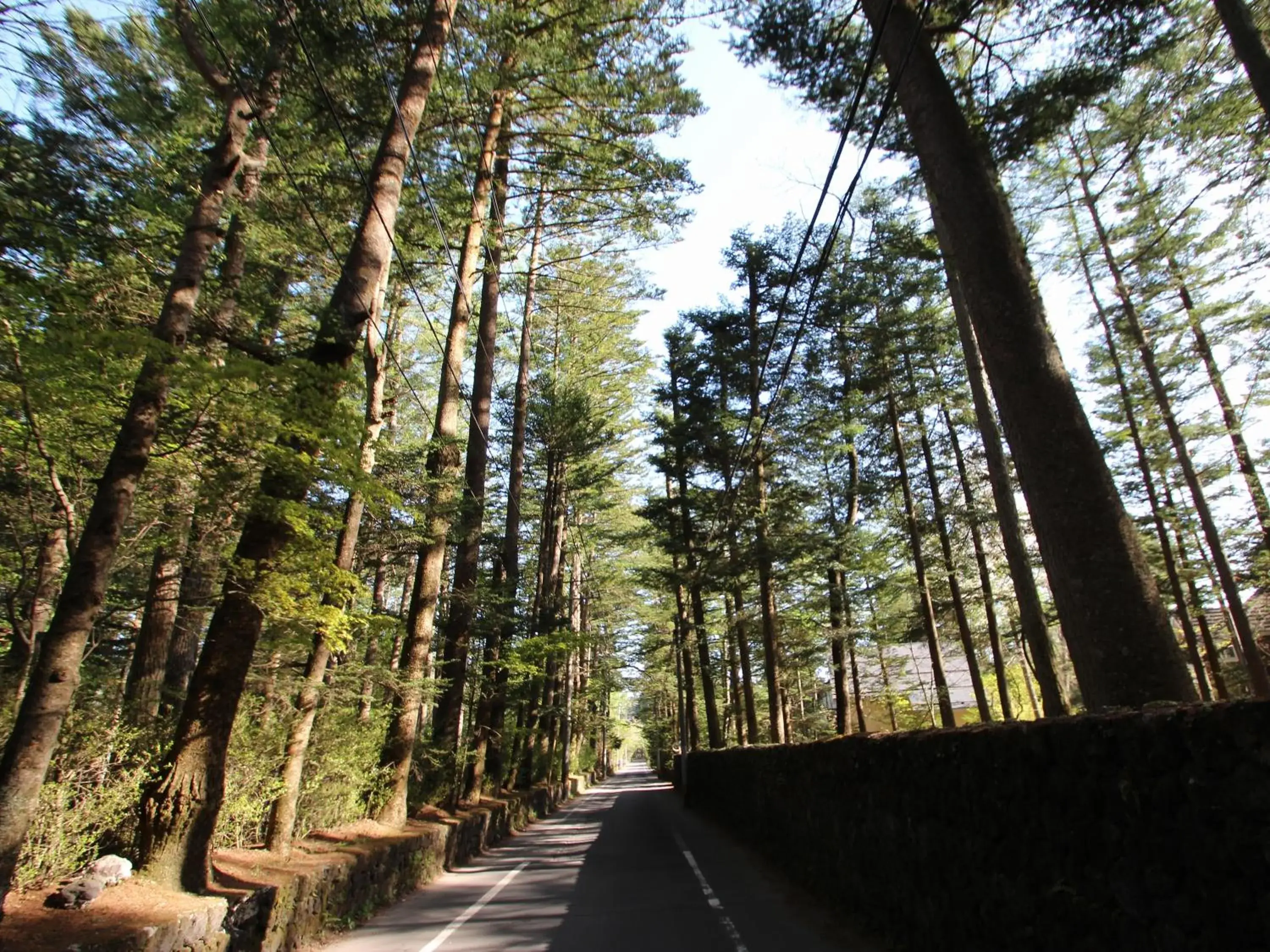 Off site in APA Hotel Karuizawa Ekimae Karuizawaso