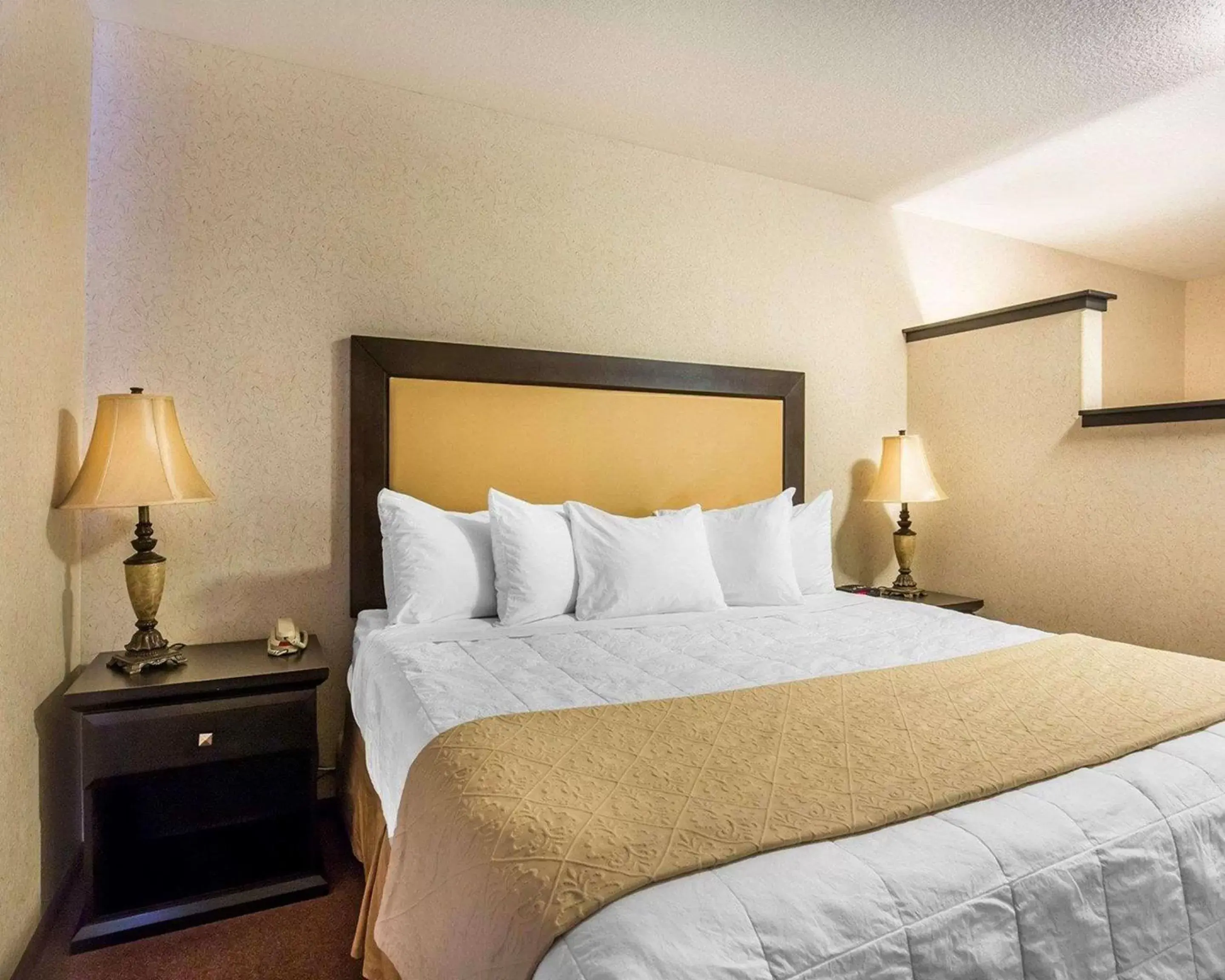 Photo of the whole room, Bed in Quality Inn & Suites Lethbridge