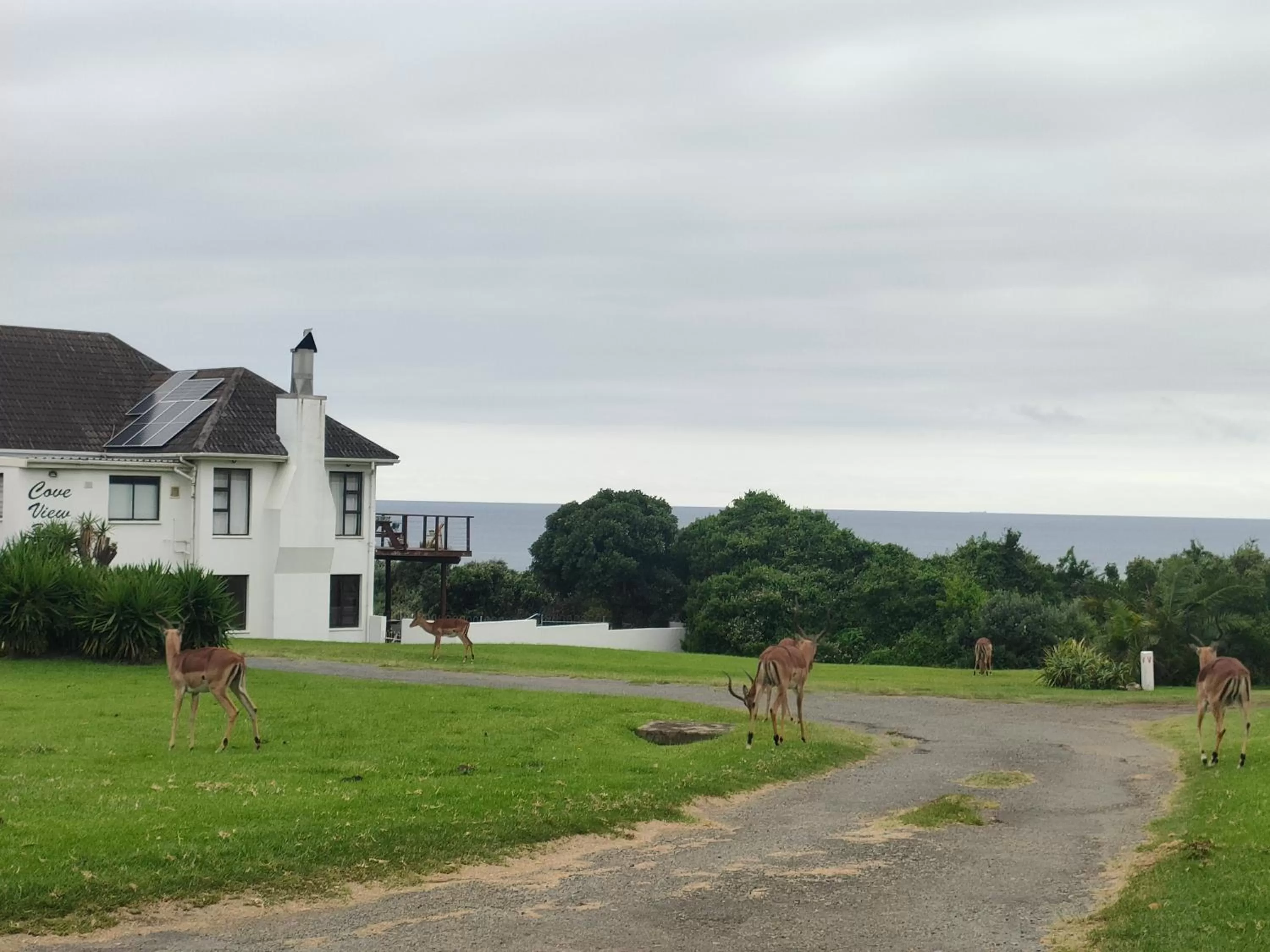 Natural landscape in Cove View B&B