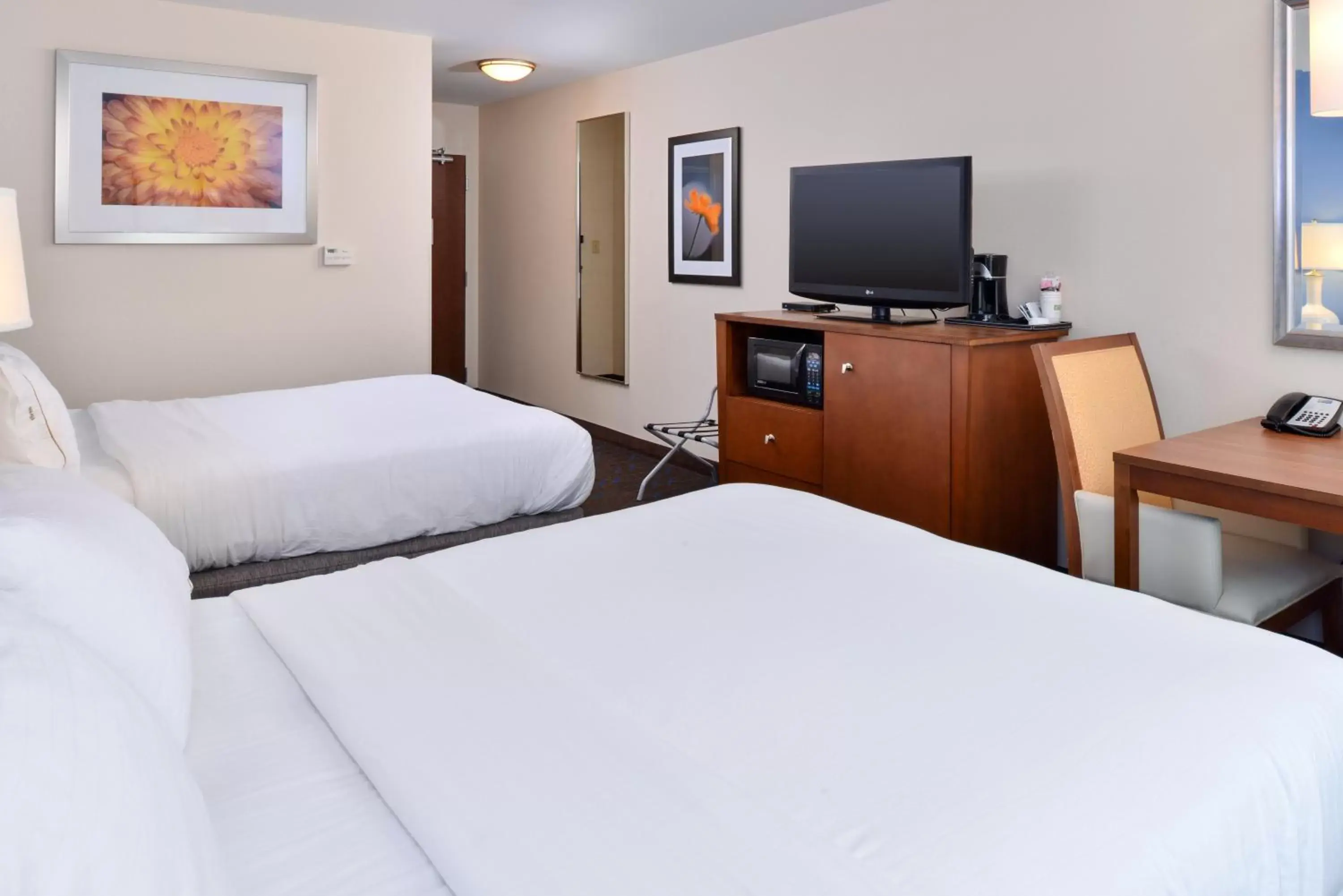Photo of the whole room, Bed in Holiday Inn Express Hotel & Suites Terre Haute, an IHG Hotel