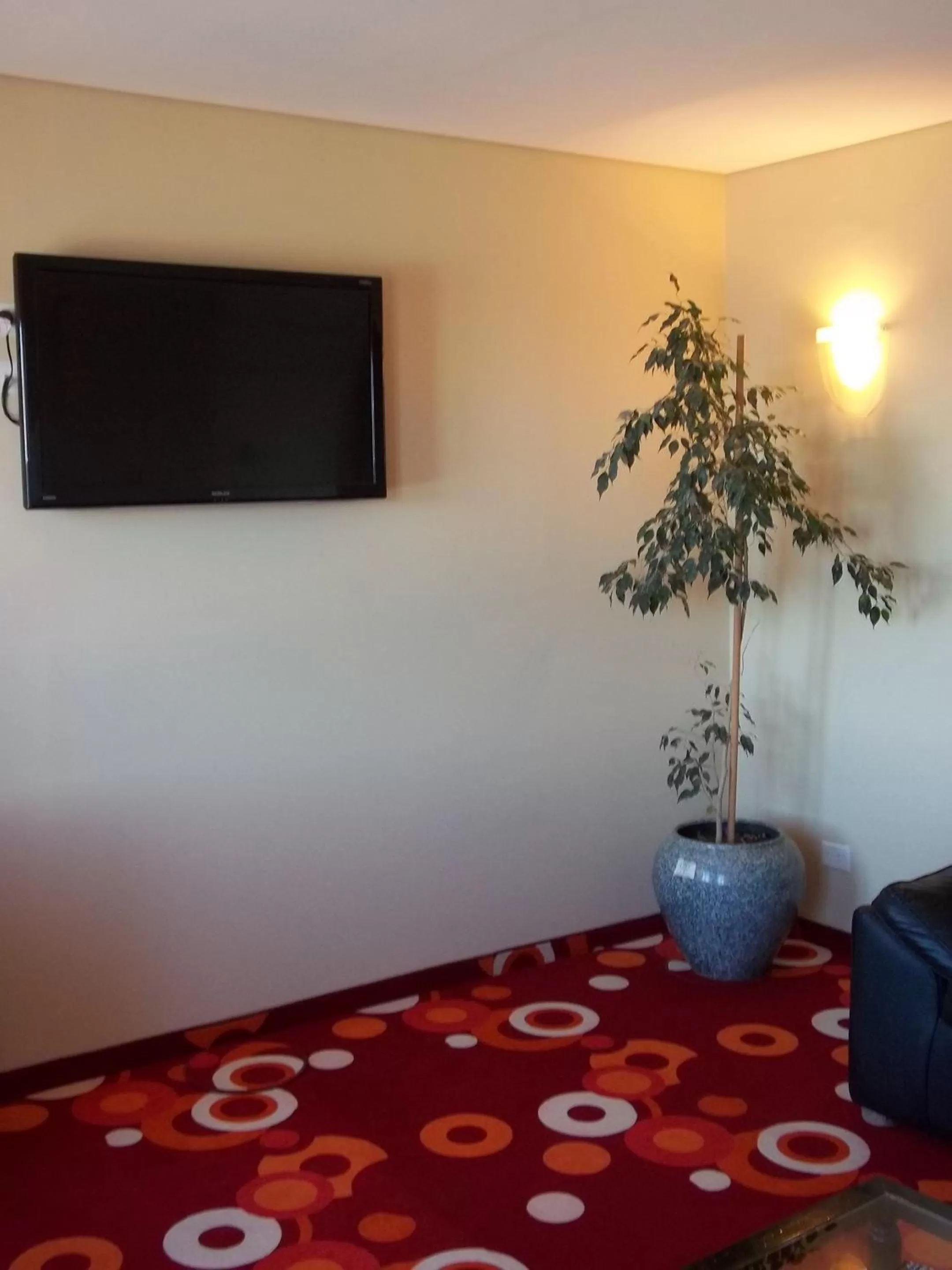 TV and multimedia in Hotel Playa