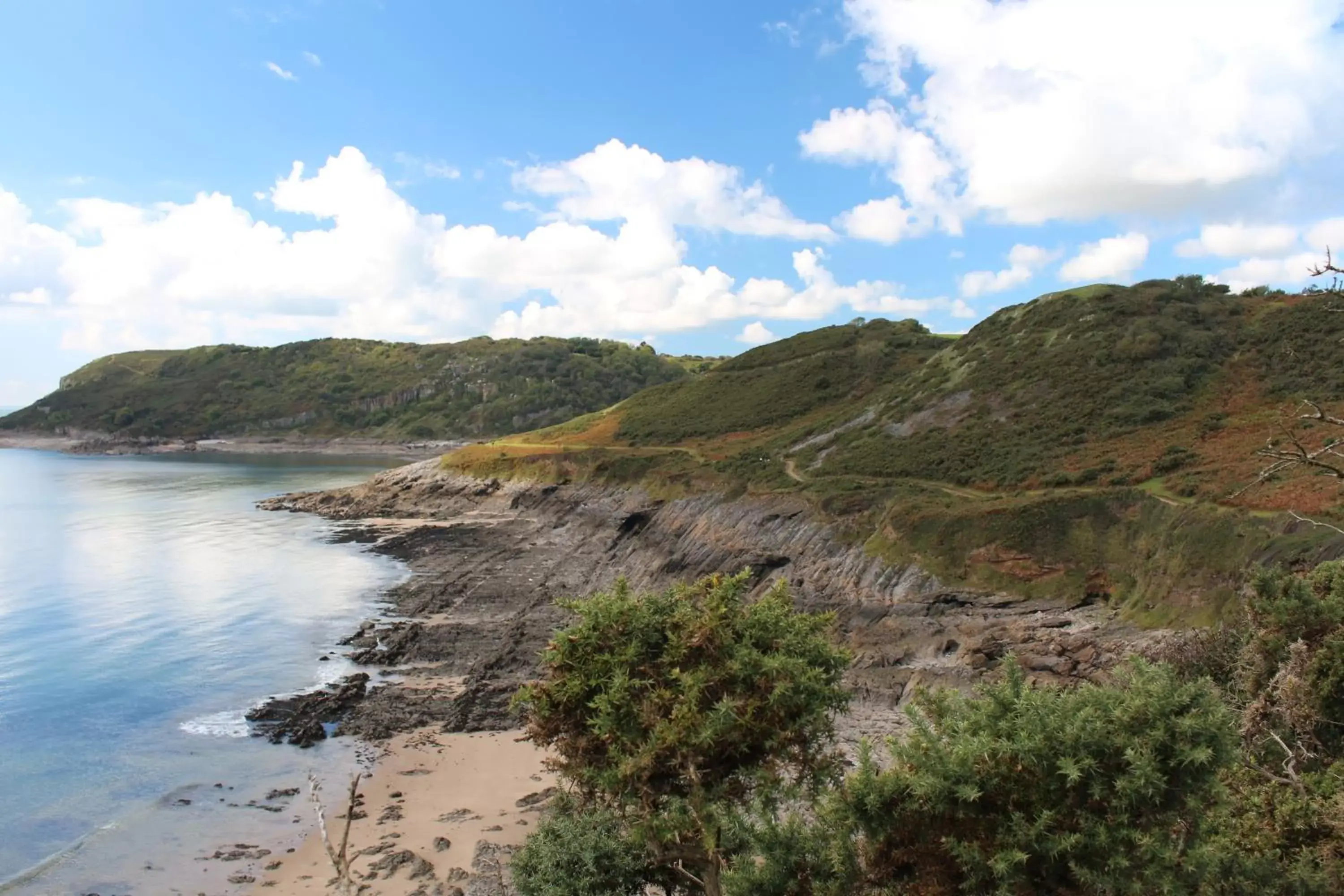 Natural landscape in The Gower Hotel