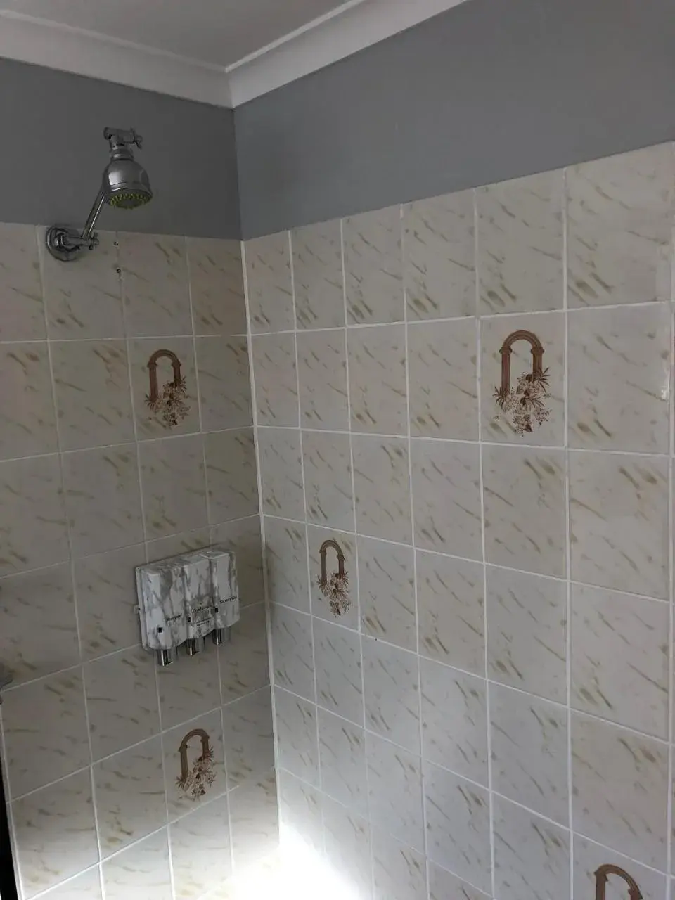 Shower, Bathroom in Marco Polo Motor Inn