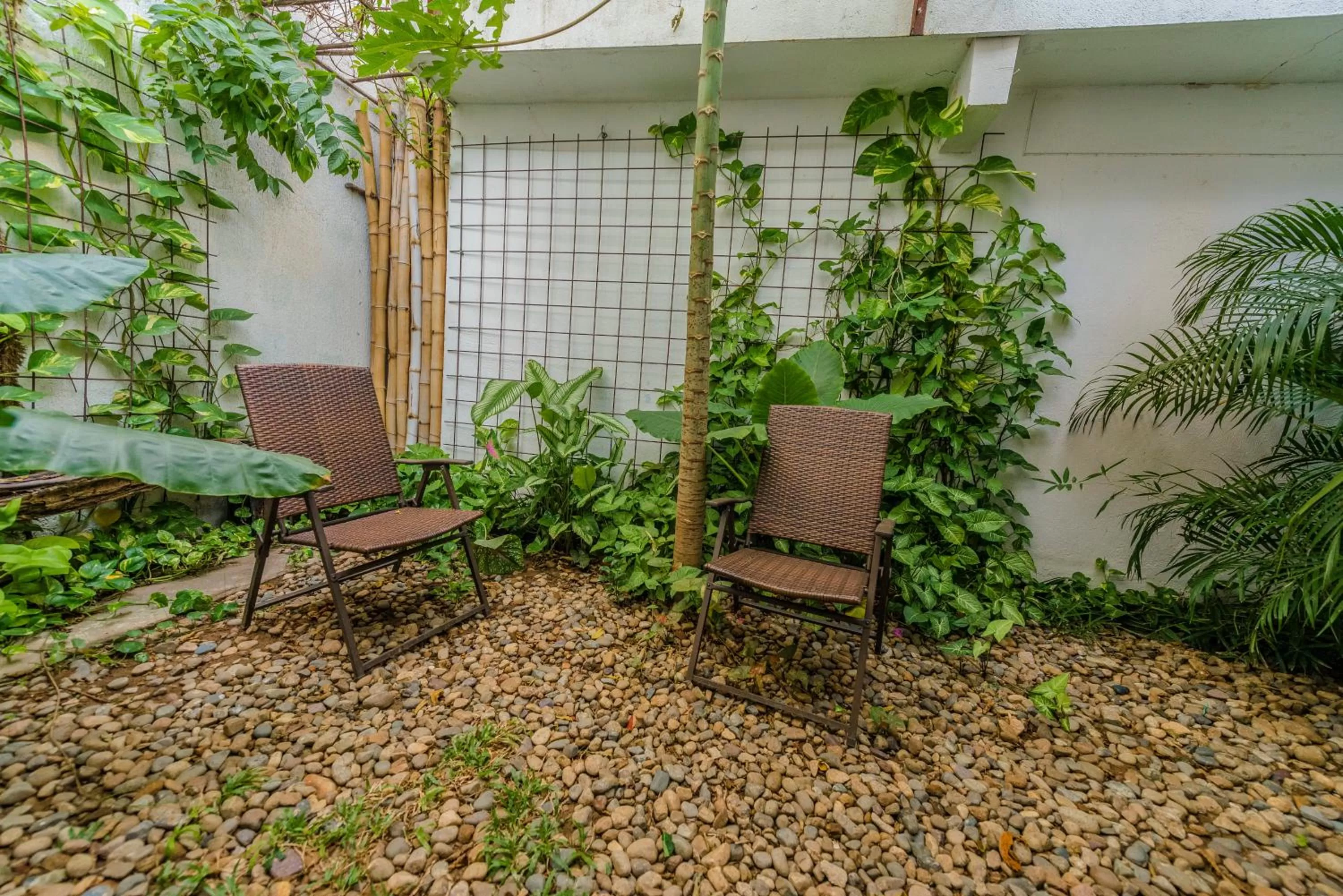 Garden in Hotel Boutique Casa Rosalía