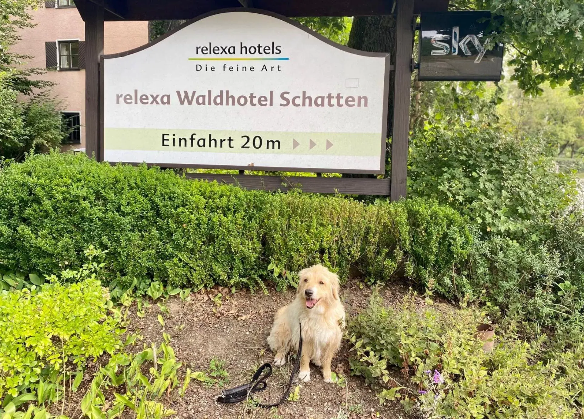 Property building, Pets in relexa Waldhotel Schatten Stuttgart