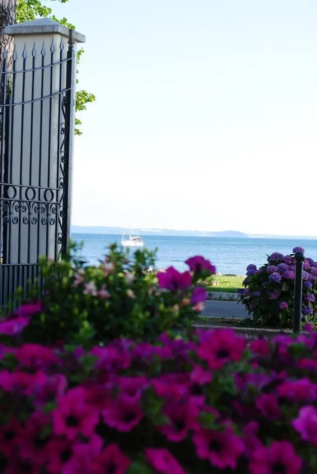 Natural landscape in Hotel Holiday Sul Lago