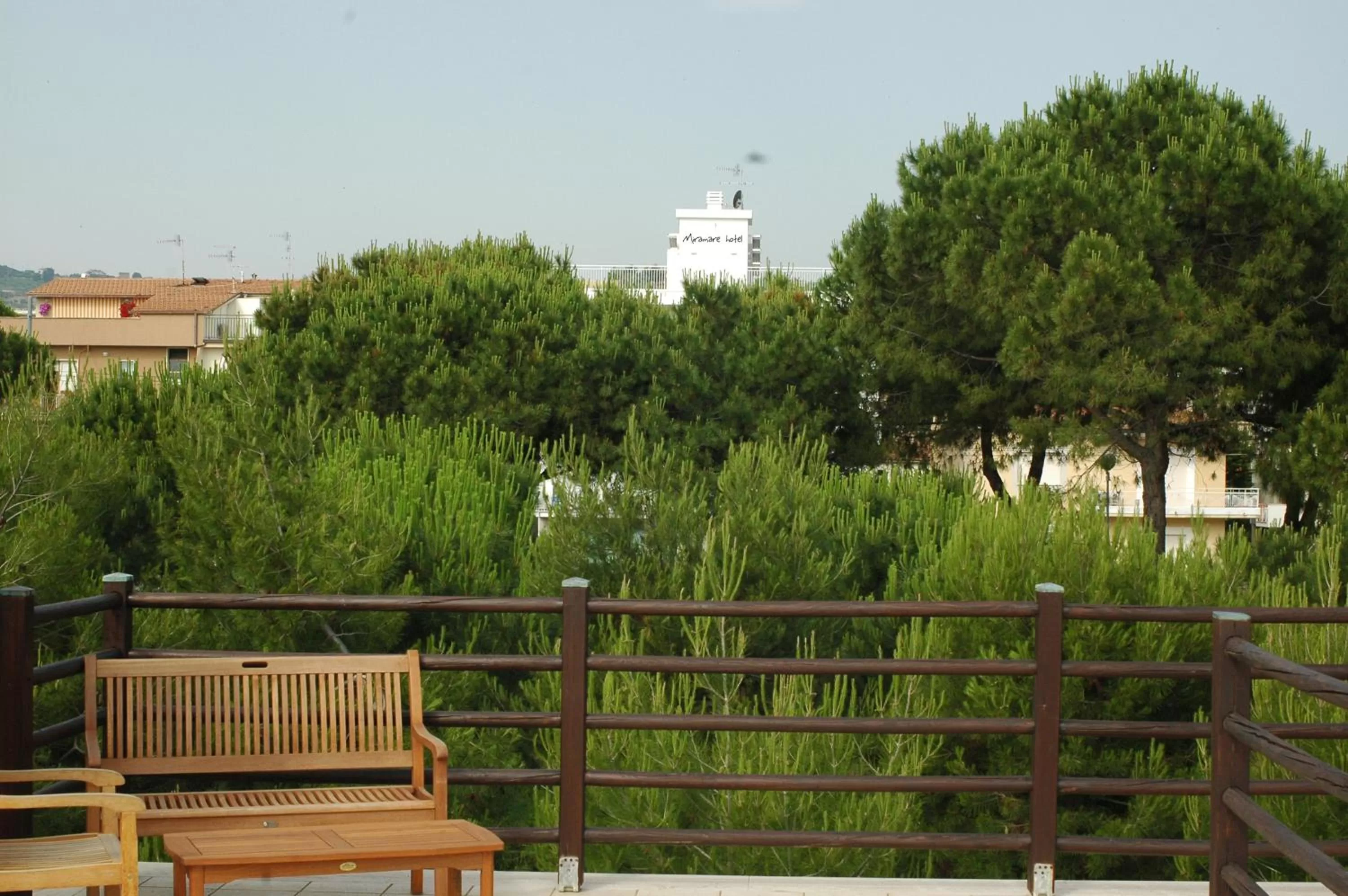 Area and facilities in Hotel Miramare