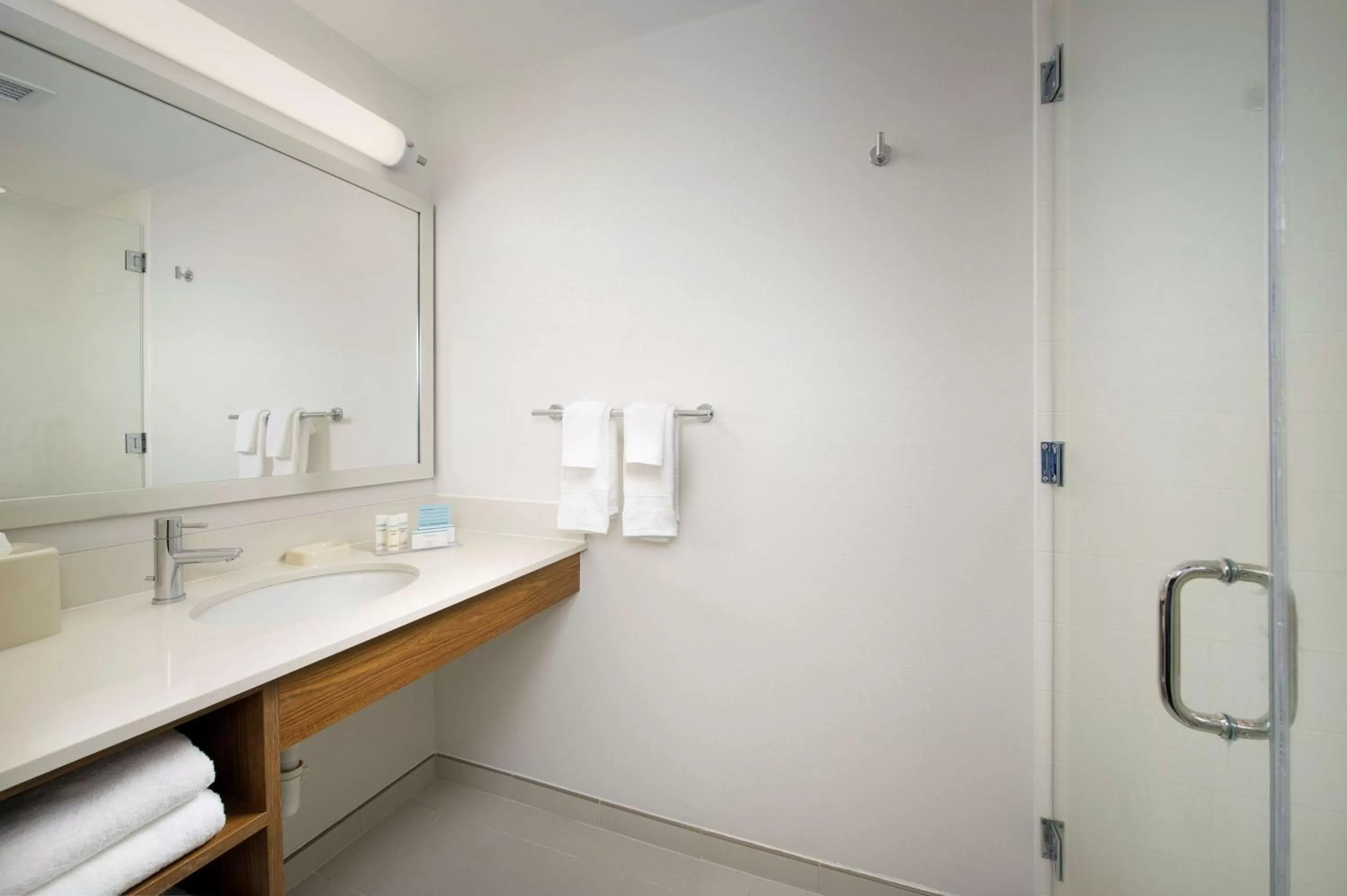 Bathroom in Hampton Inn & Suites San Antonio Northwest/Medical Center