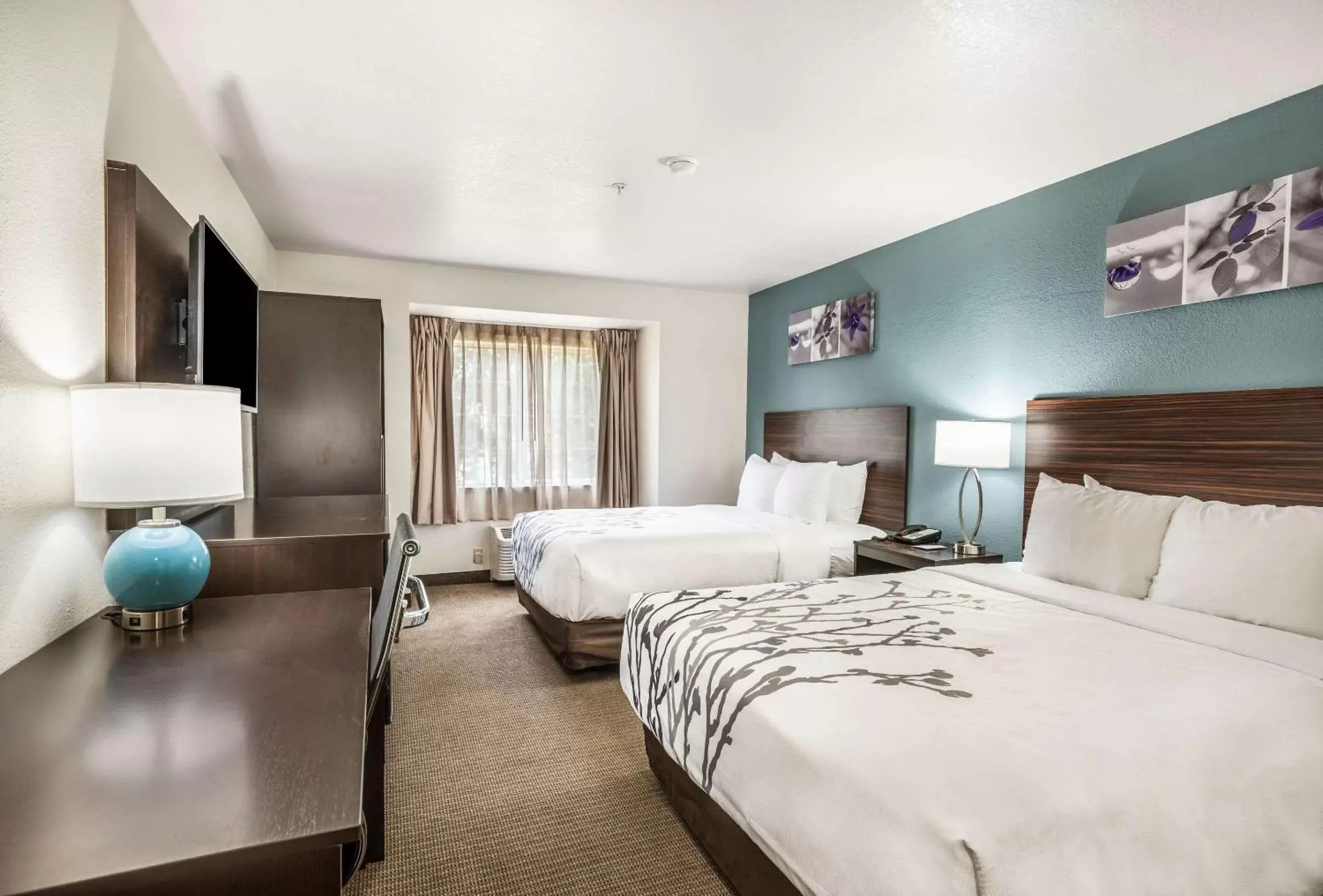 Photo of the whole room, Bed in Sleep Inn & Suites Tallahassee-Capitol Photo of the whole room, Bed in Sleep Inn & Suites Tallahassee-Capitol