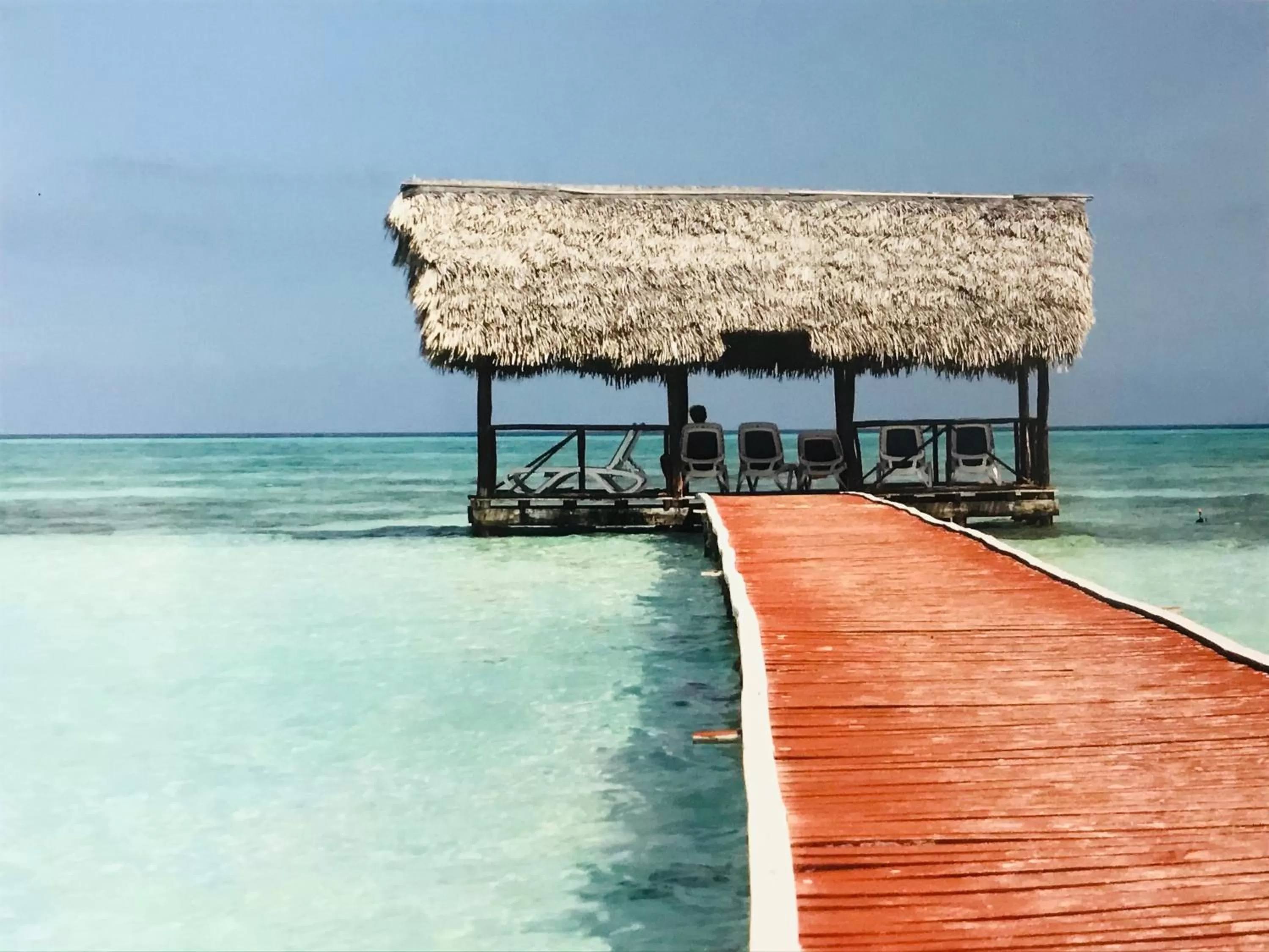 Natural landscape in Bed and Breakfast Bavaria München