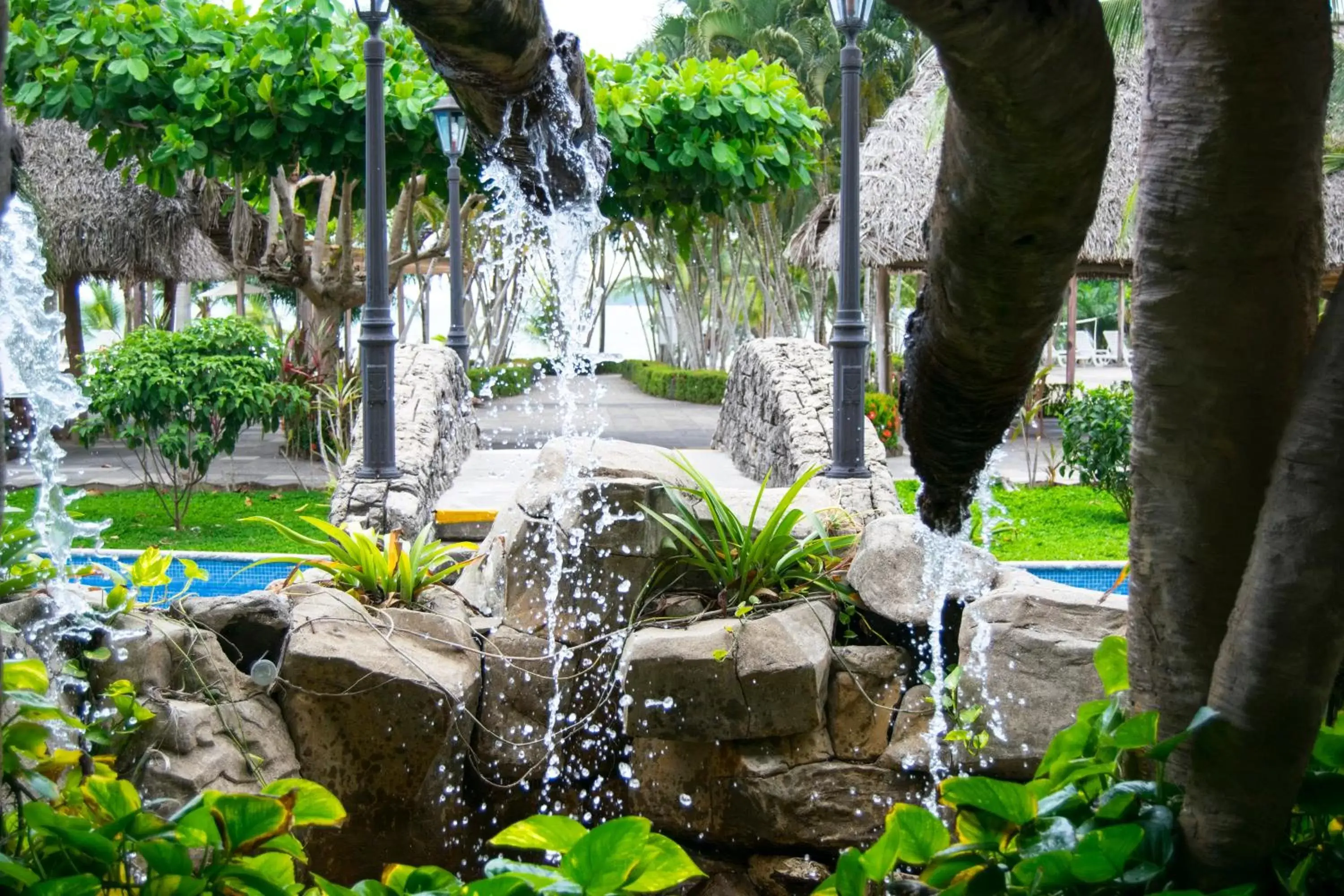 Garden in Amatique Bay Hotel