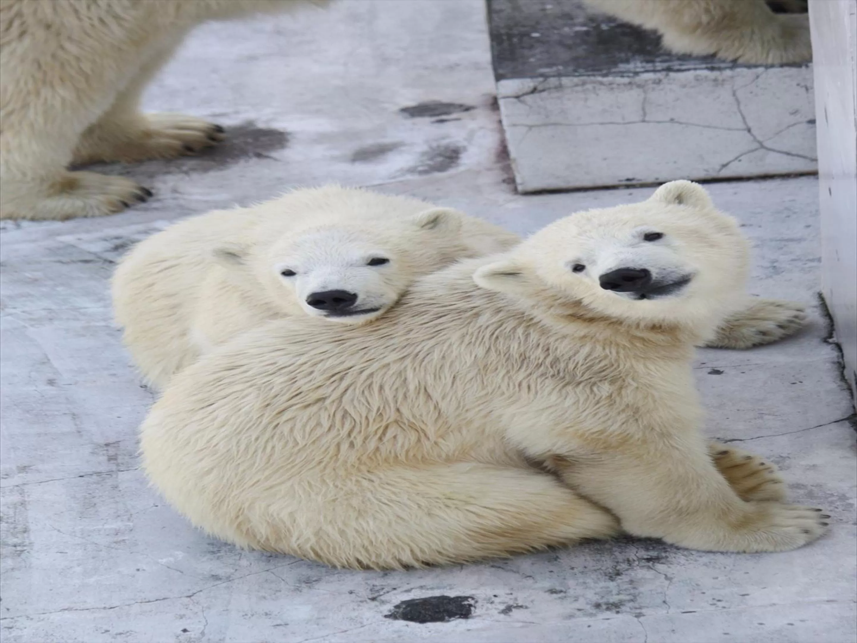 Nearby landmark in Tenza Hotel & SKYSPA at Sapporo Central