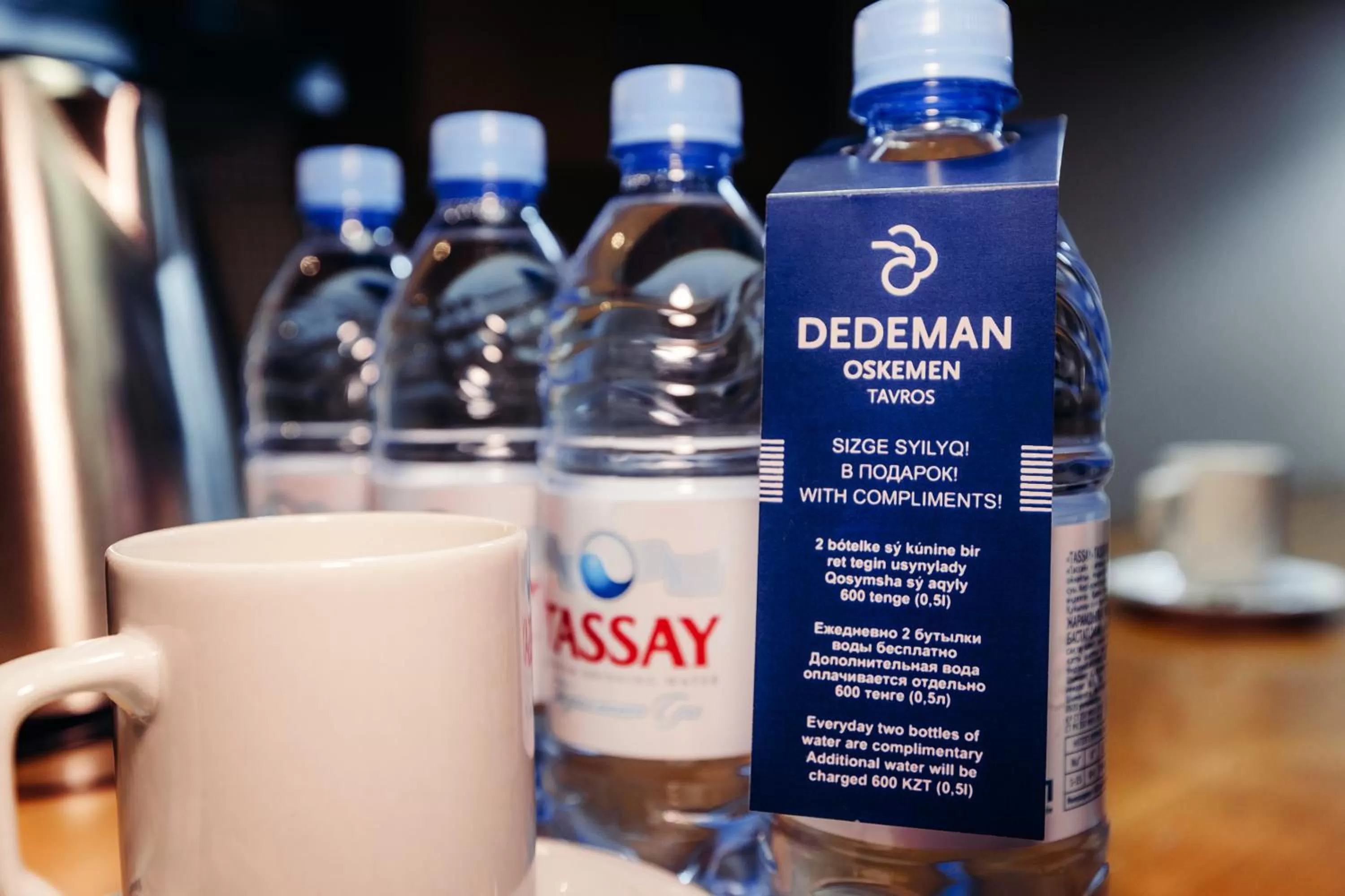 Living room in Dedeman Oskemen Hotel