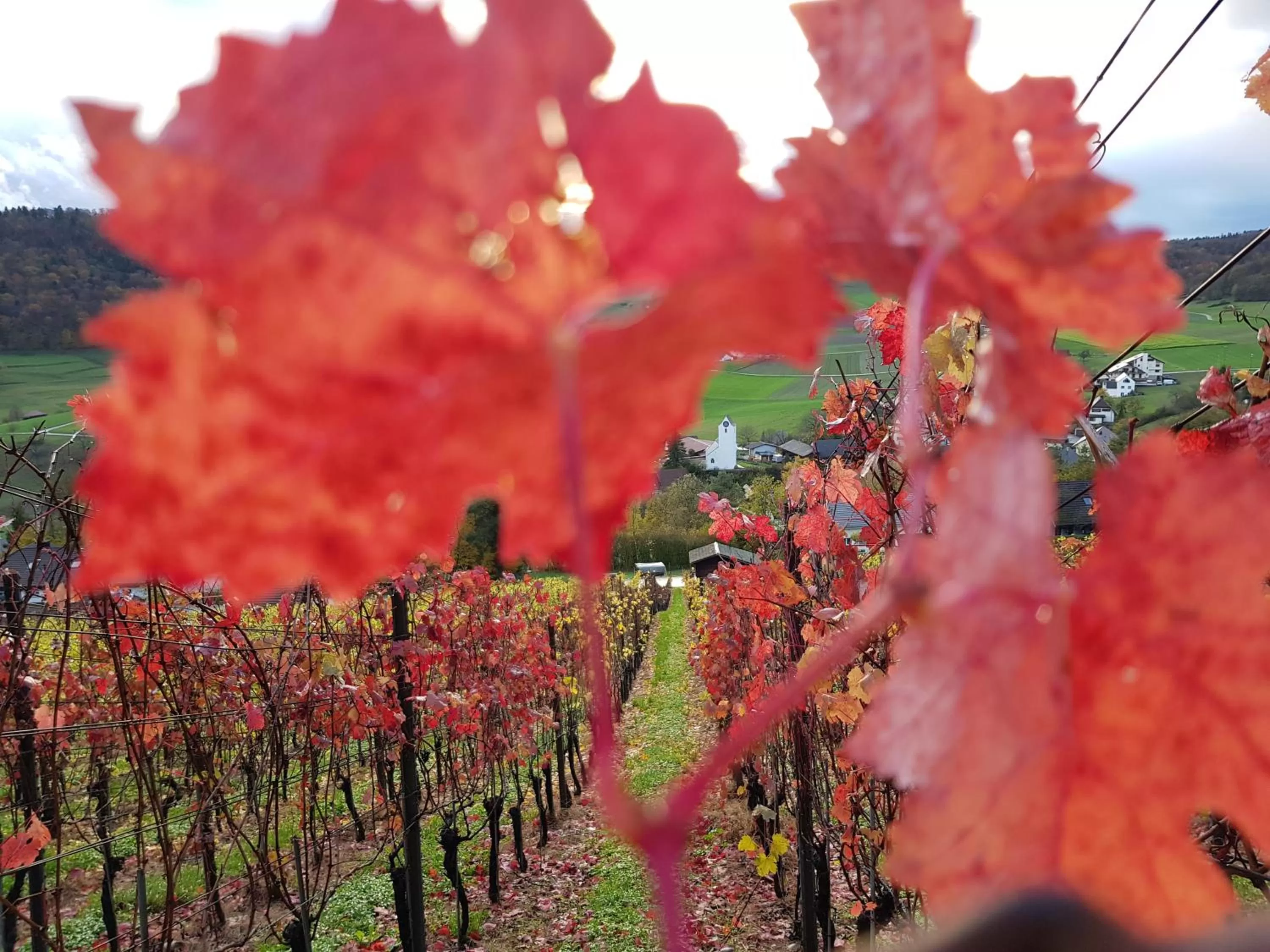 Autumn in BnB Mönthal im Jurapark