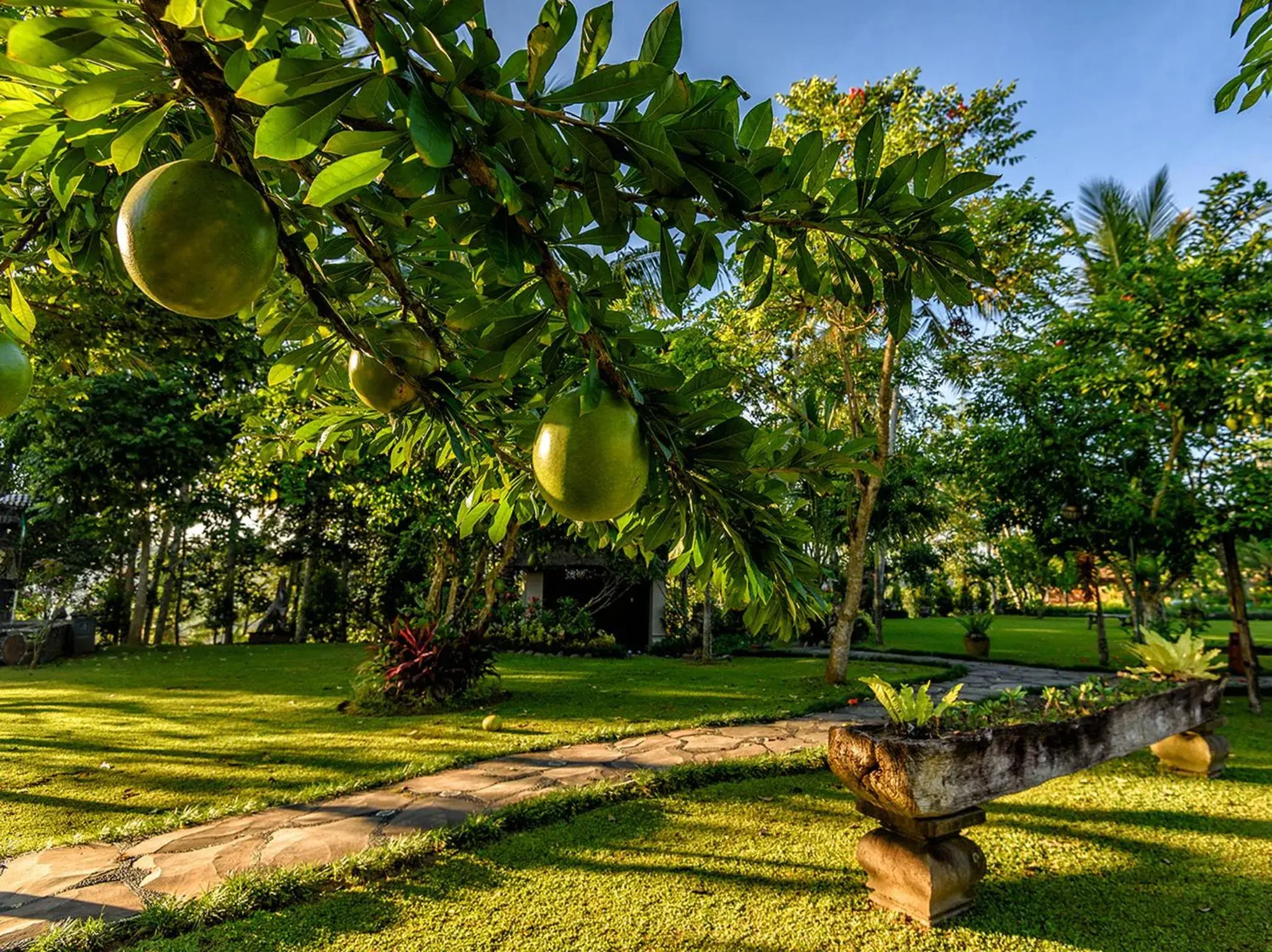 Natural landscape, Garden in PERMATA AYUNG PRIVATE ESTATE