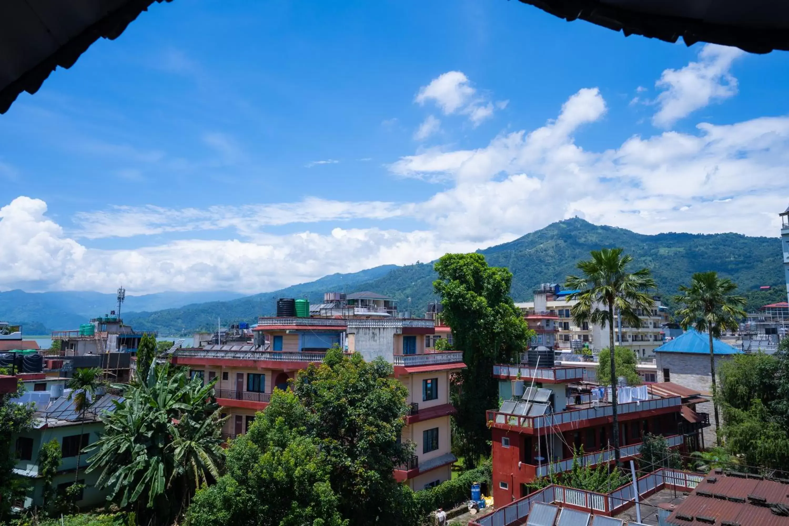 Mountain View in Butterfly Lodge