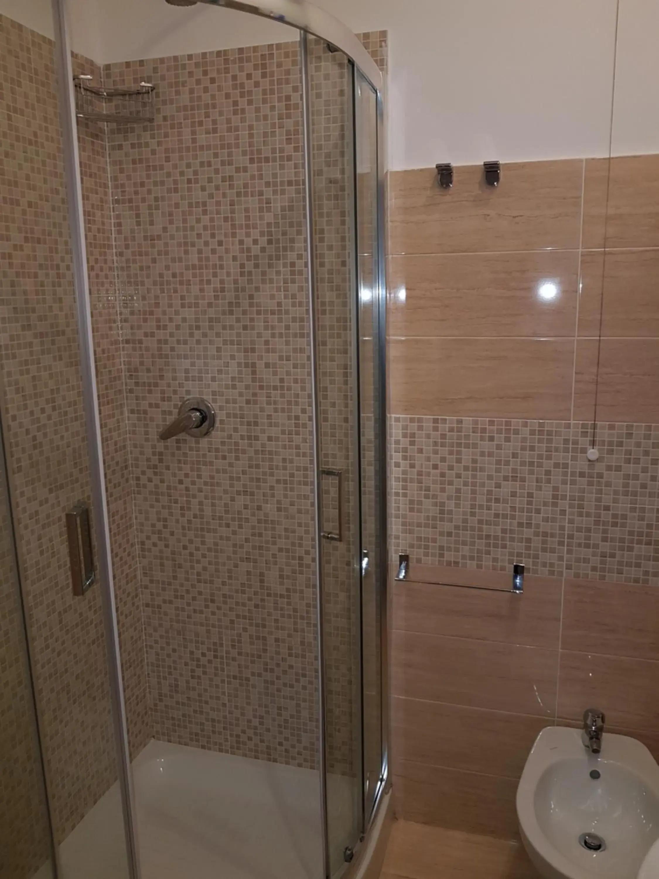 Shower, Bathroom in Evergreen