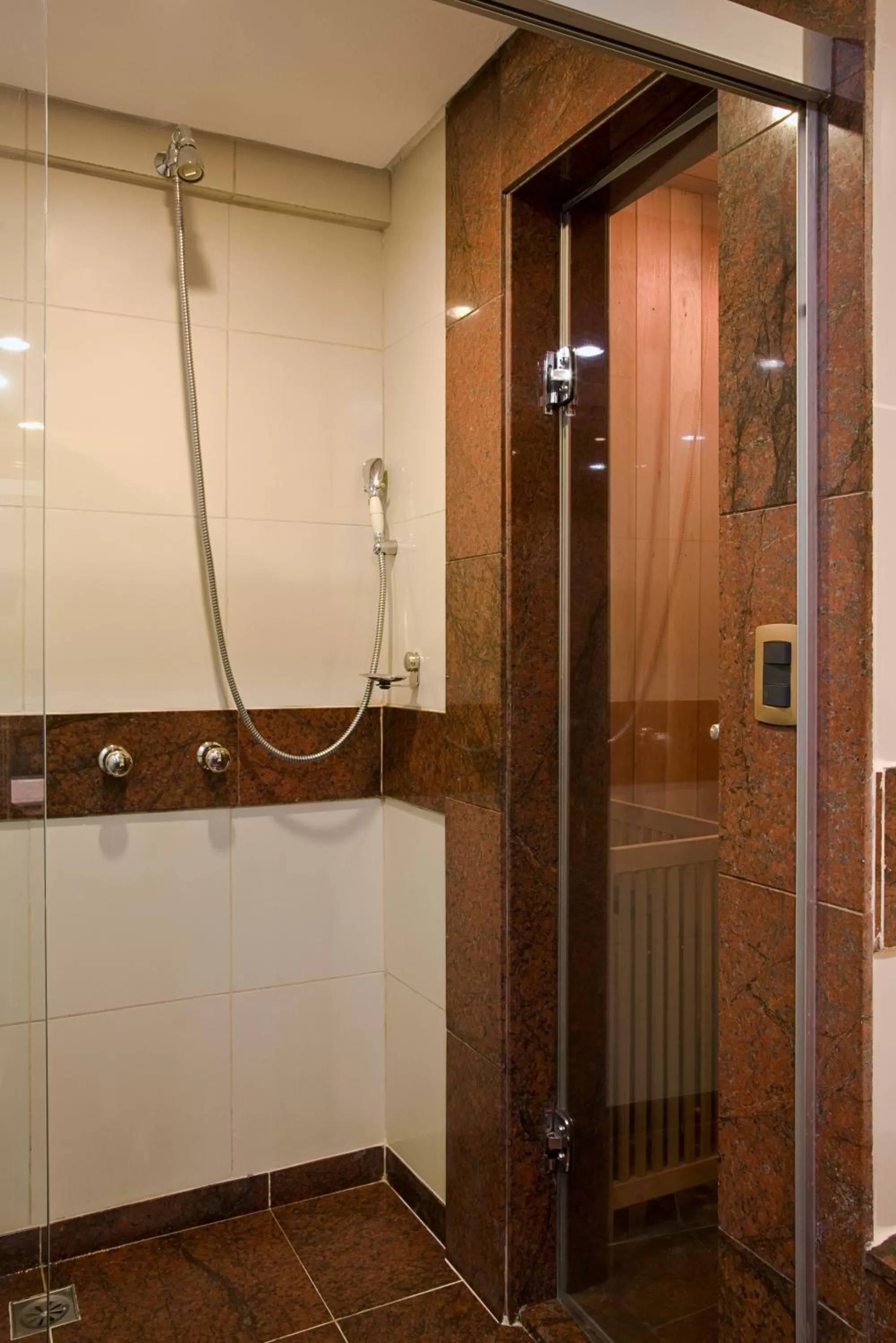 Shower in Royal Rio Palace Hotel