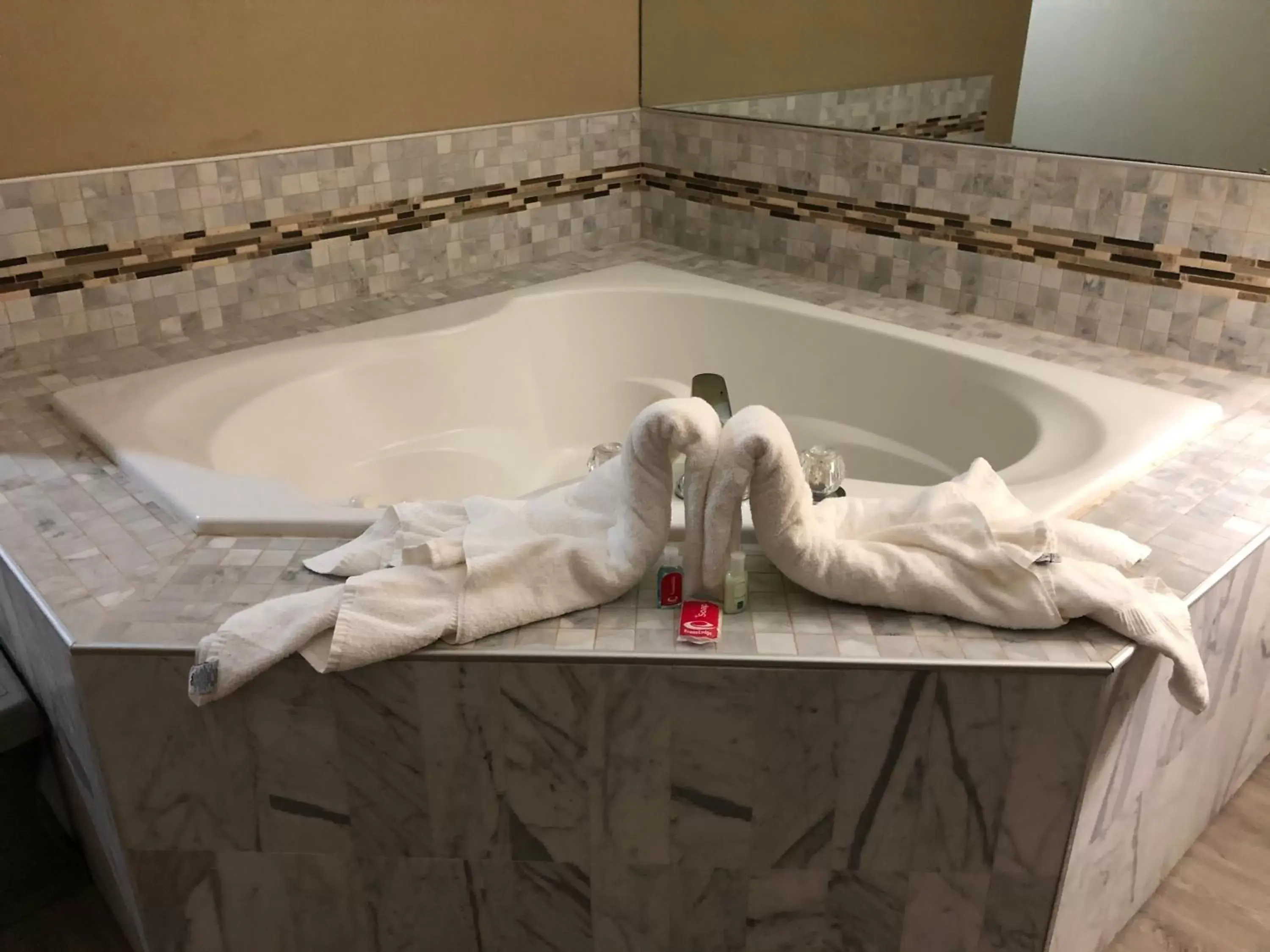 Bath in Econo Lodge