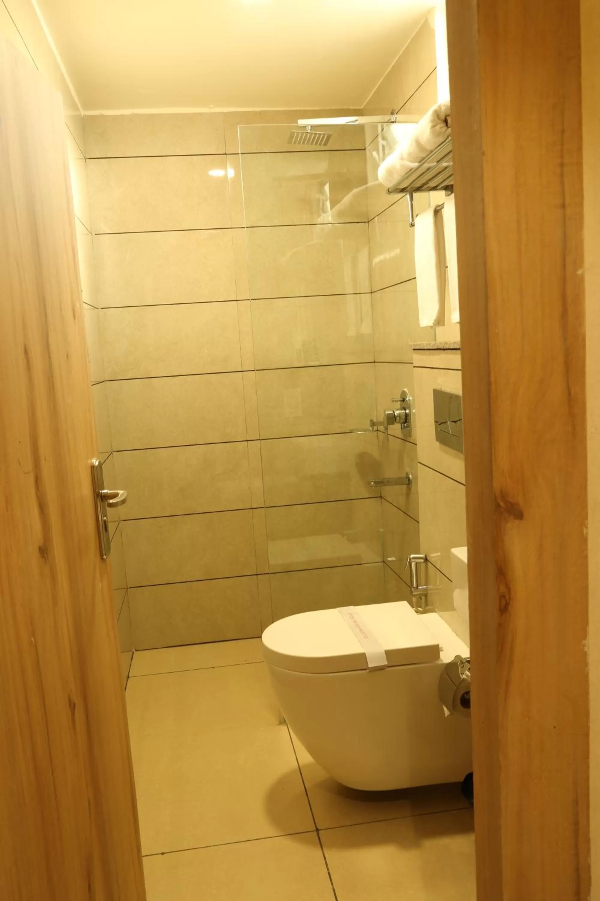 Shower in Hotel Reva Regency