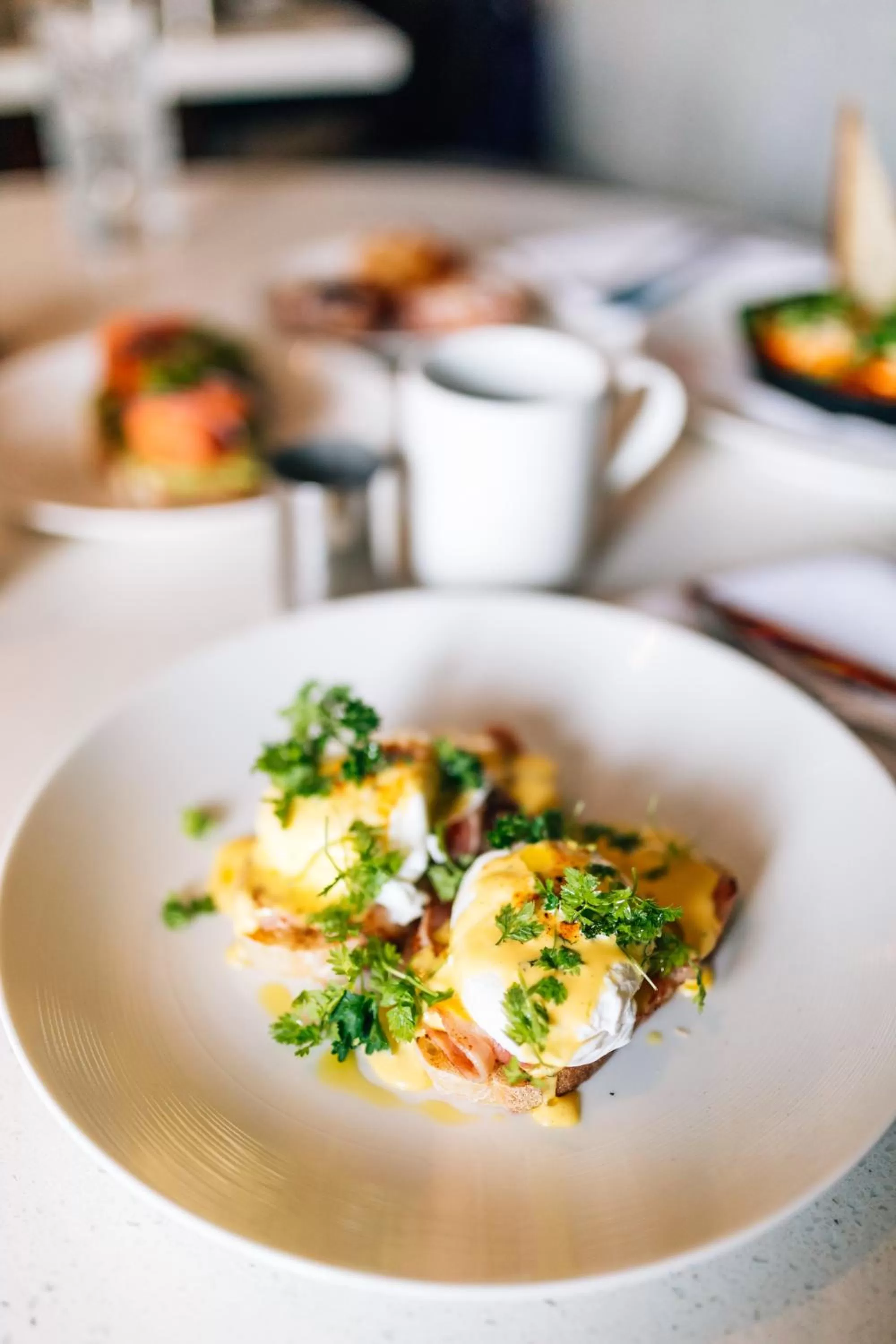 Food close-up in Hyatt Centric Brickell Miami