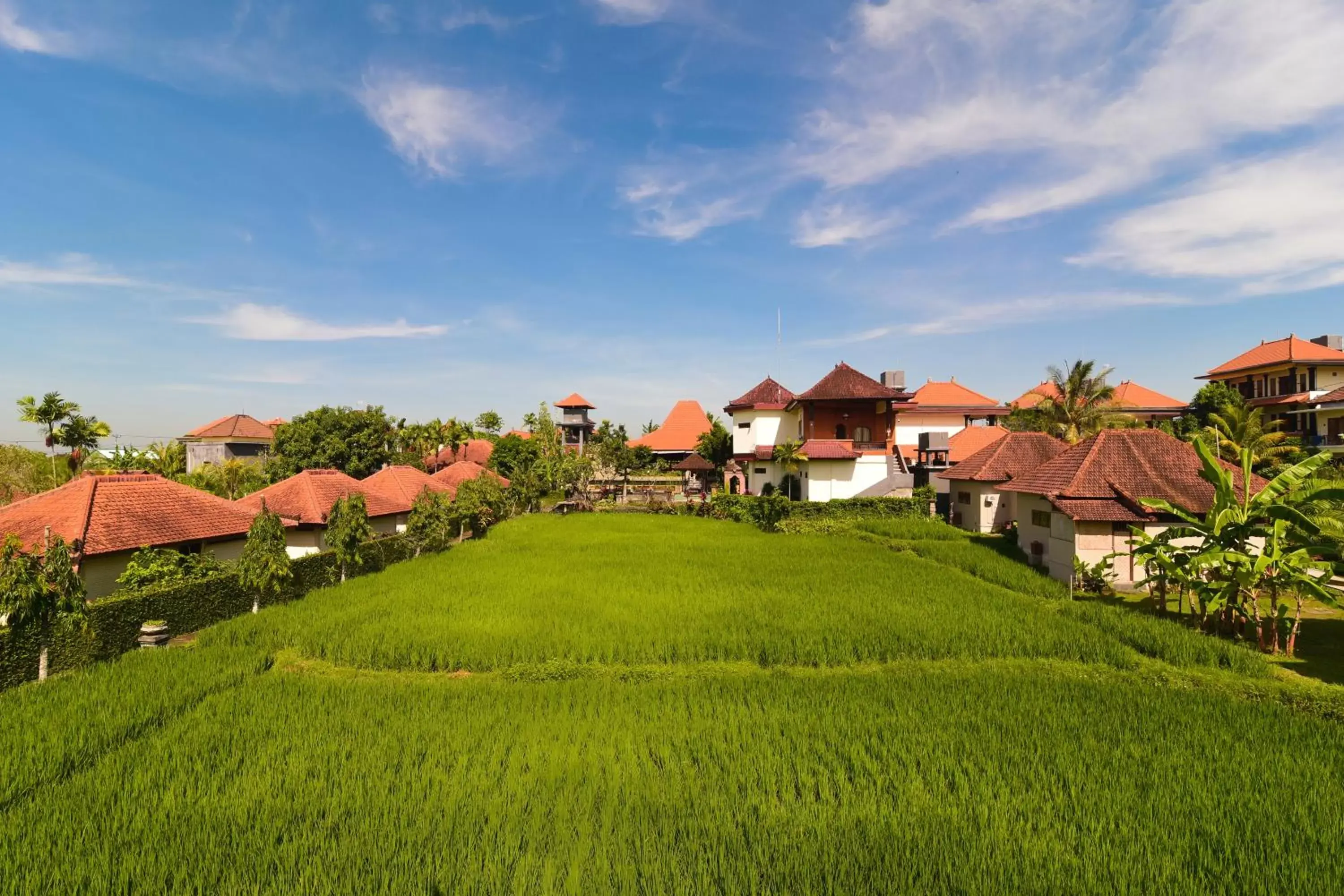 Landmark view, Property Building in Nick's Pension