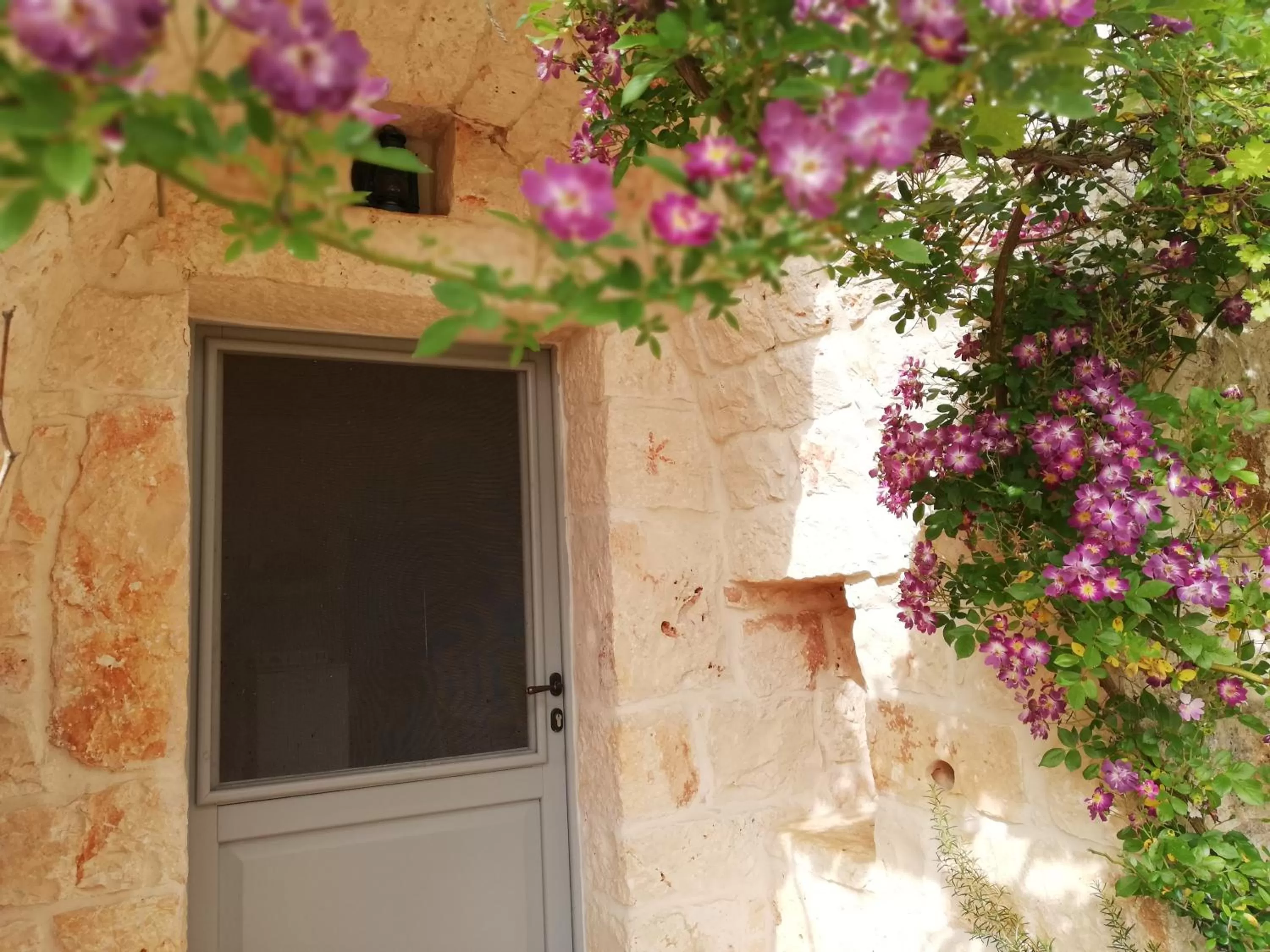 B&B Giovannarolla Green House