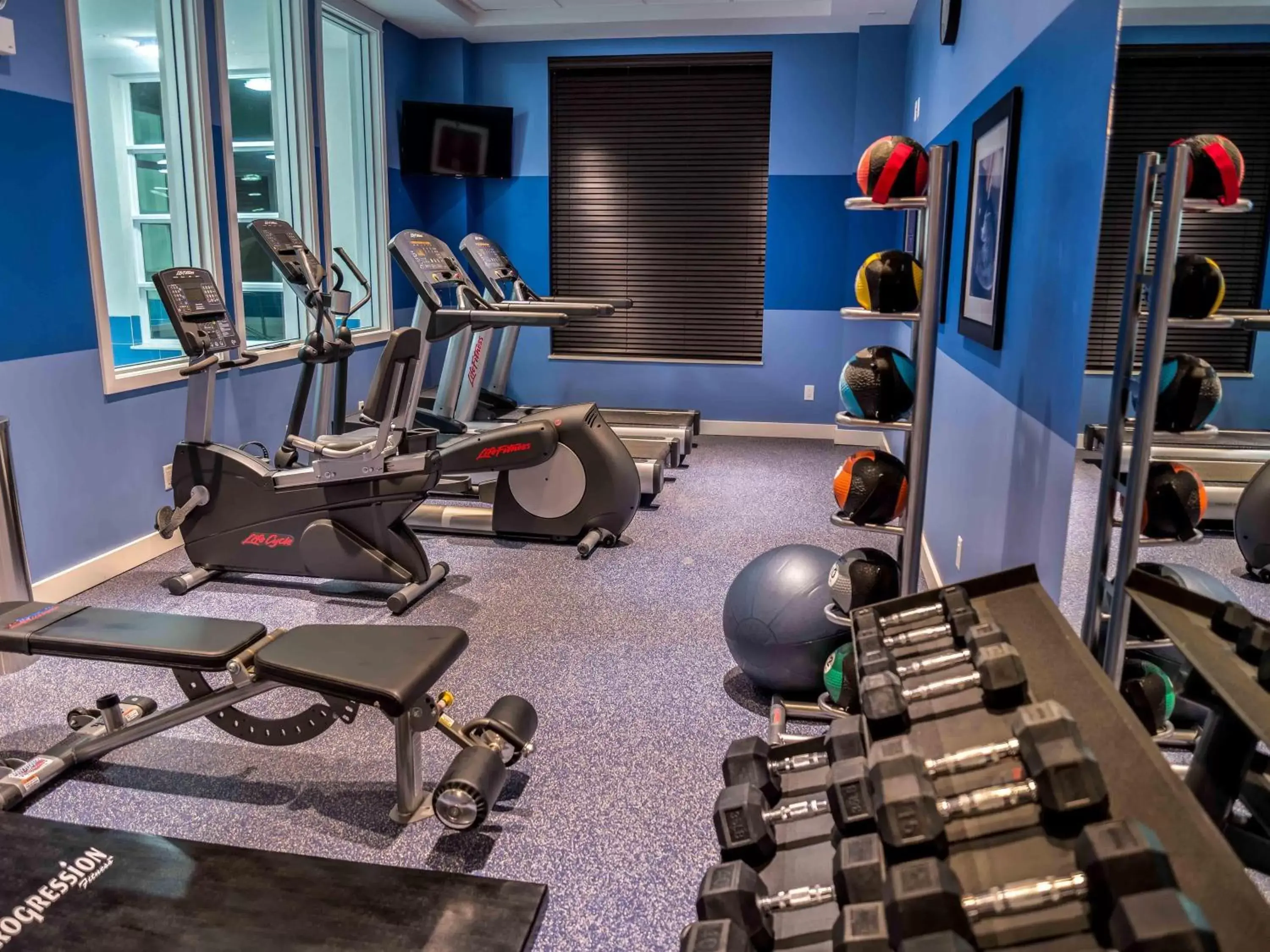 Fitness centre/facilities, Fitness Center/Facilities in Holiday Inn Express & Suites Toronto Airport West, an IHG Hotel