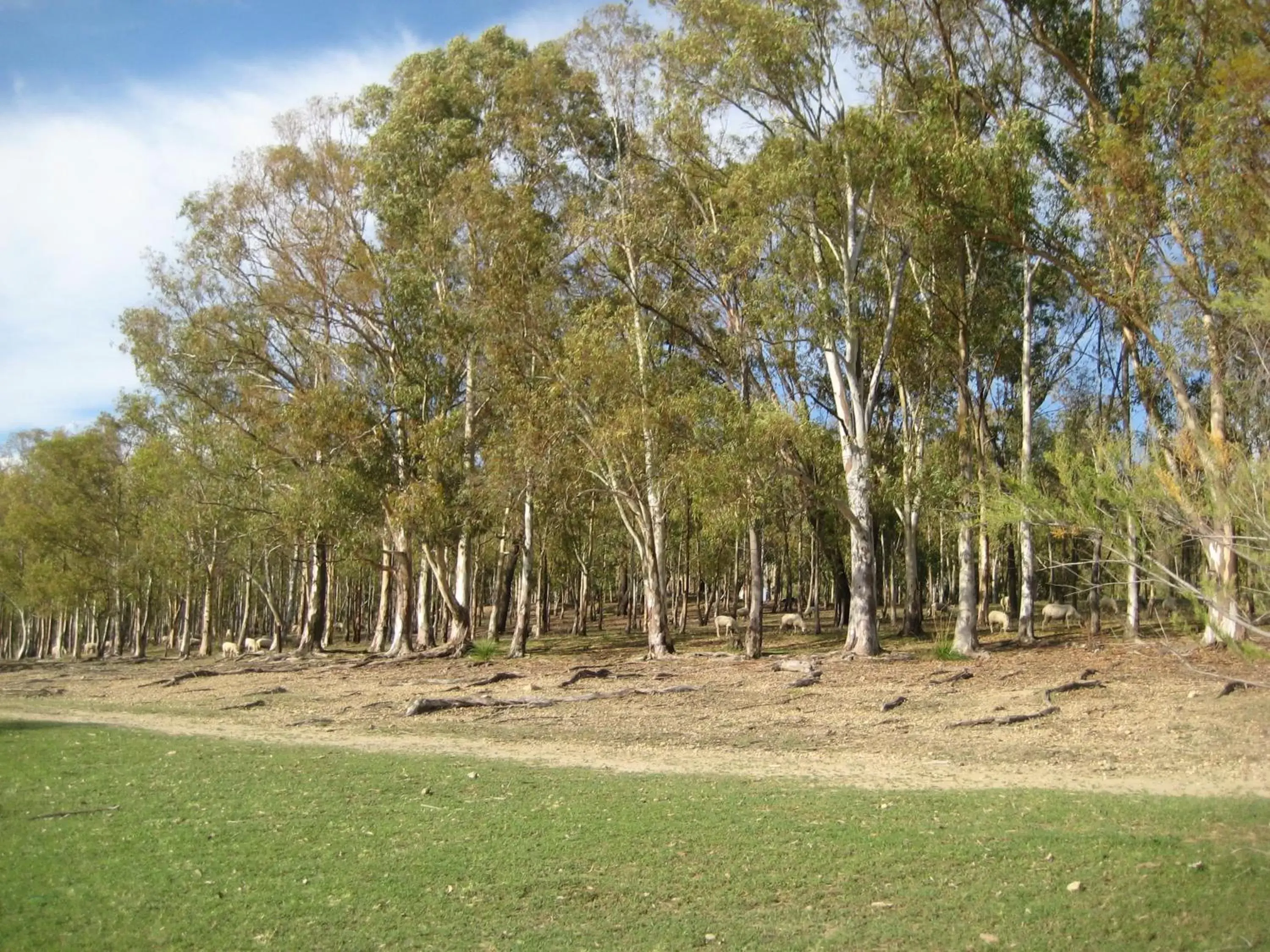 Natural landscape, Garden in Oasi del Lago