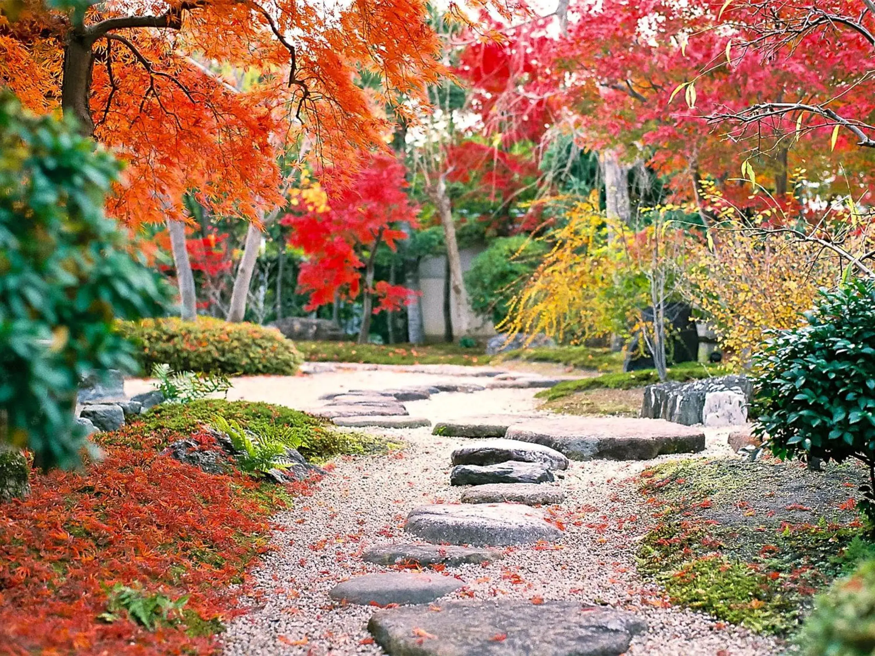 Garden view, Natural Landscape in Ryokan Genhouin