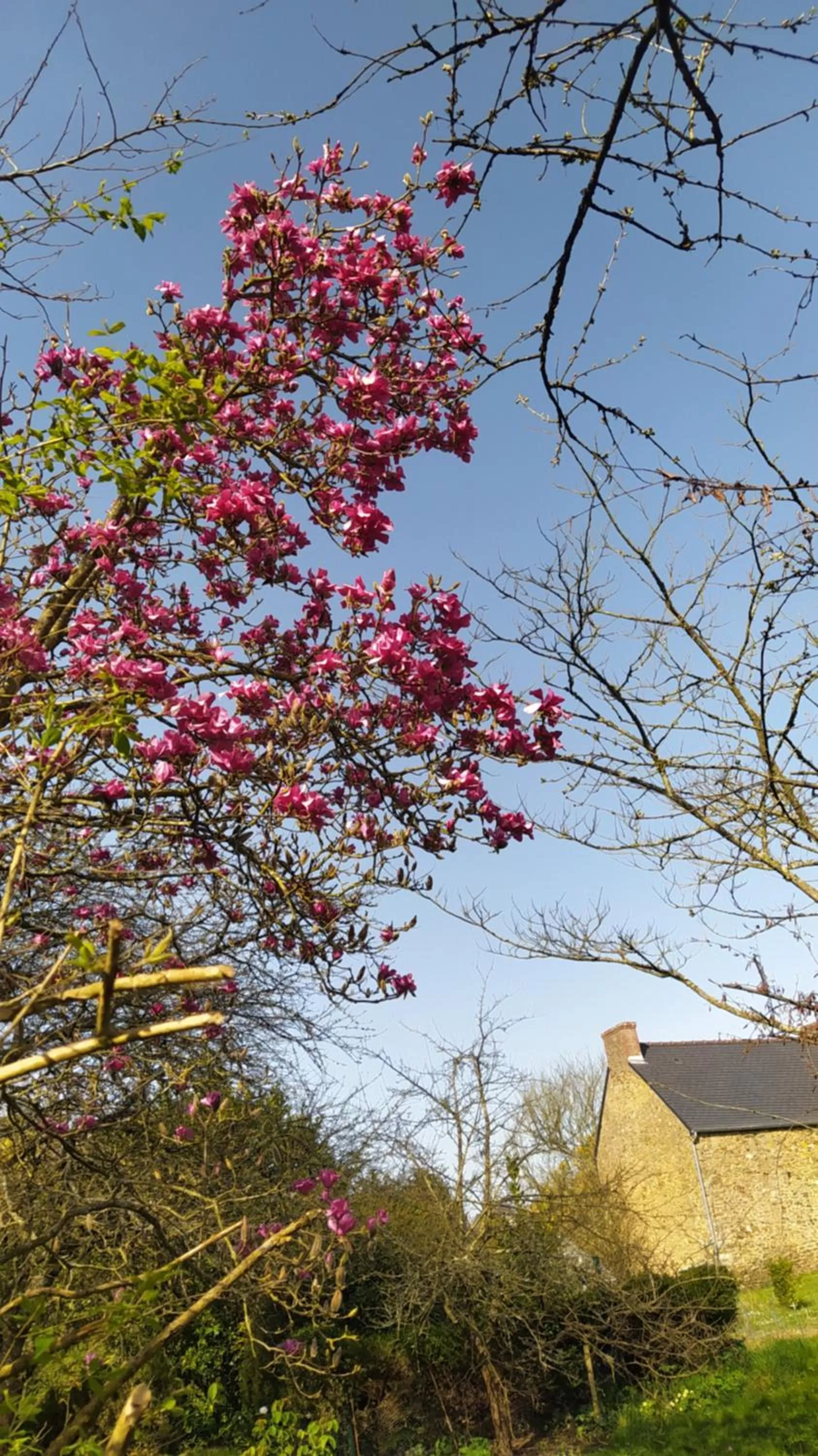 Natural landscape in Ker Anahid - L'Atelier